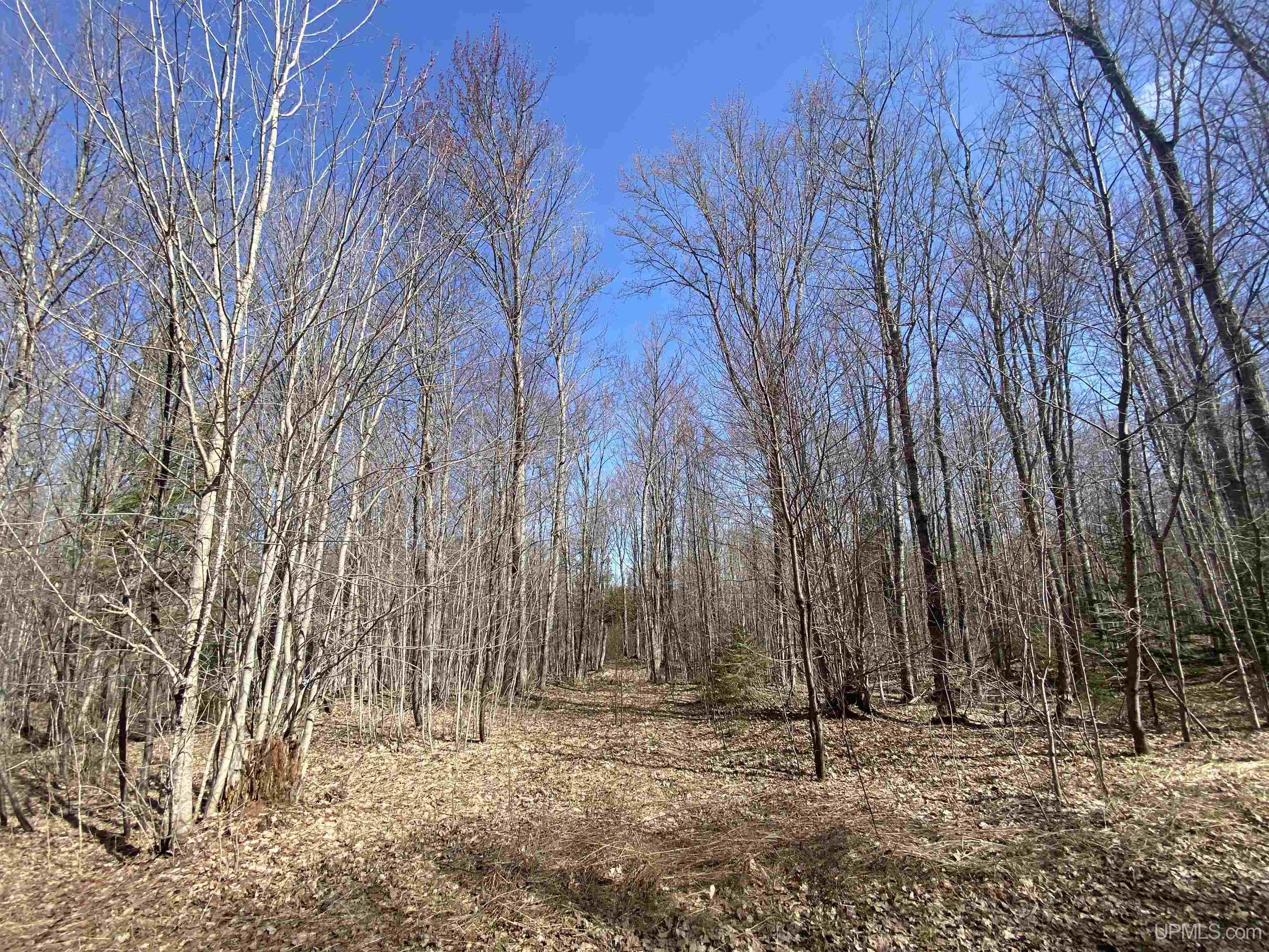 Tbd Lot 23 Keweenaw Pass Property Photo 29