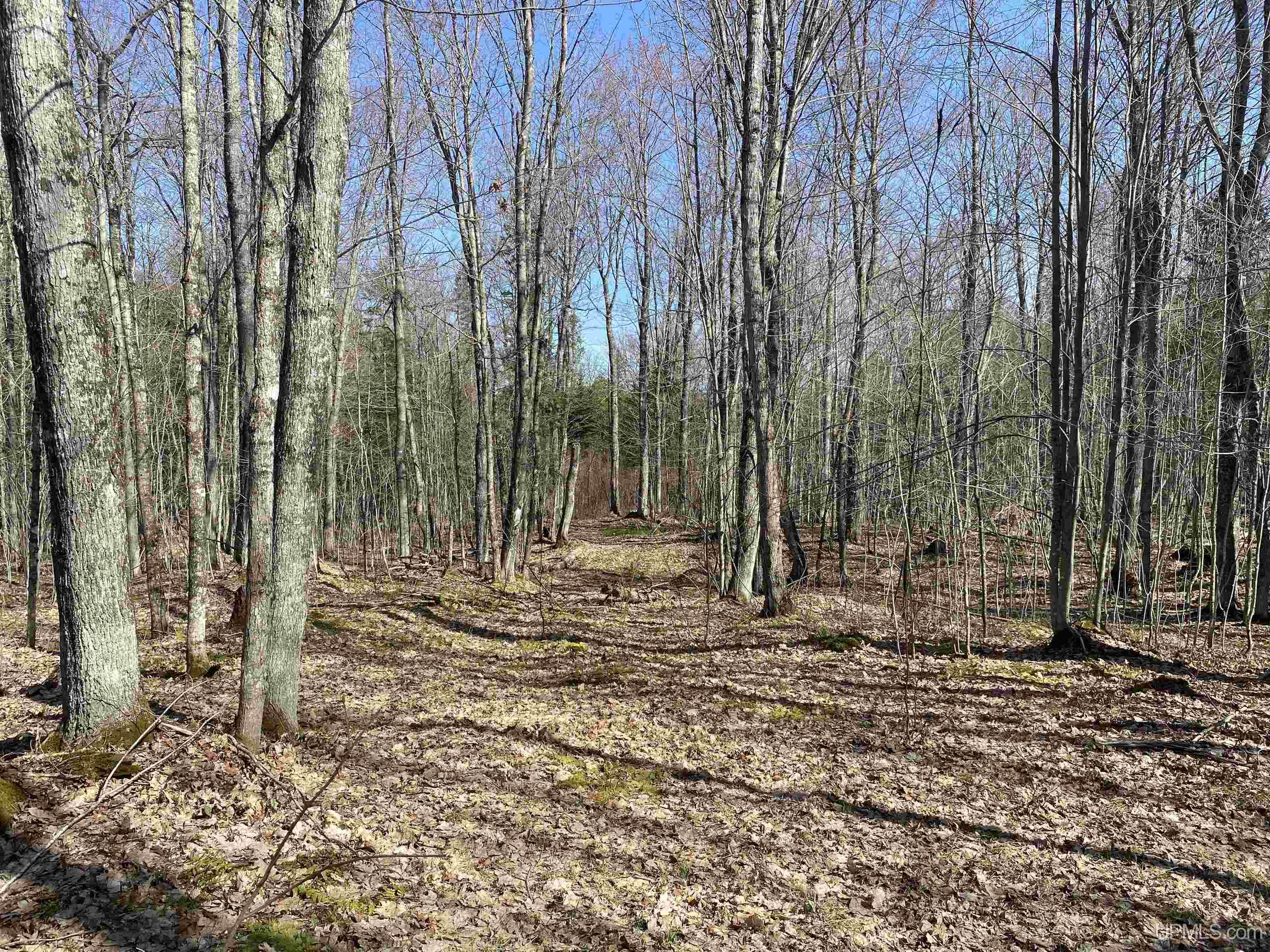 Tbd Lot 23 Keweenaw Pass Property Photo 30