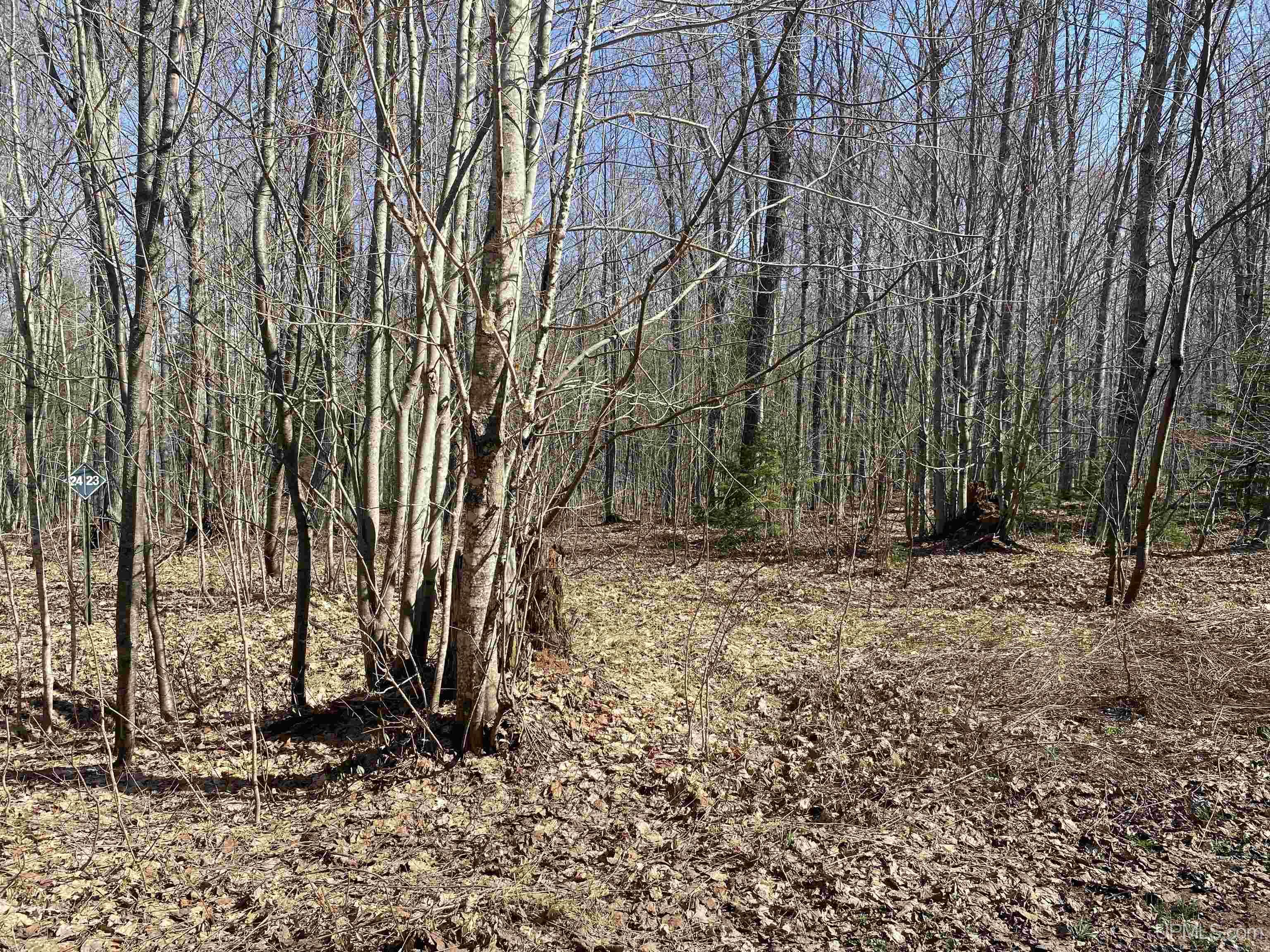 Tbd Lot 23 Keweenaw Pass Property Photo 31