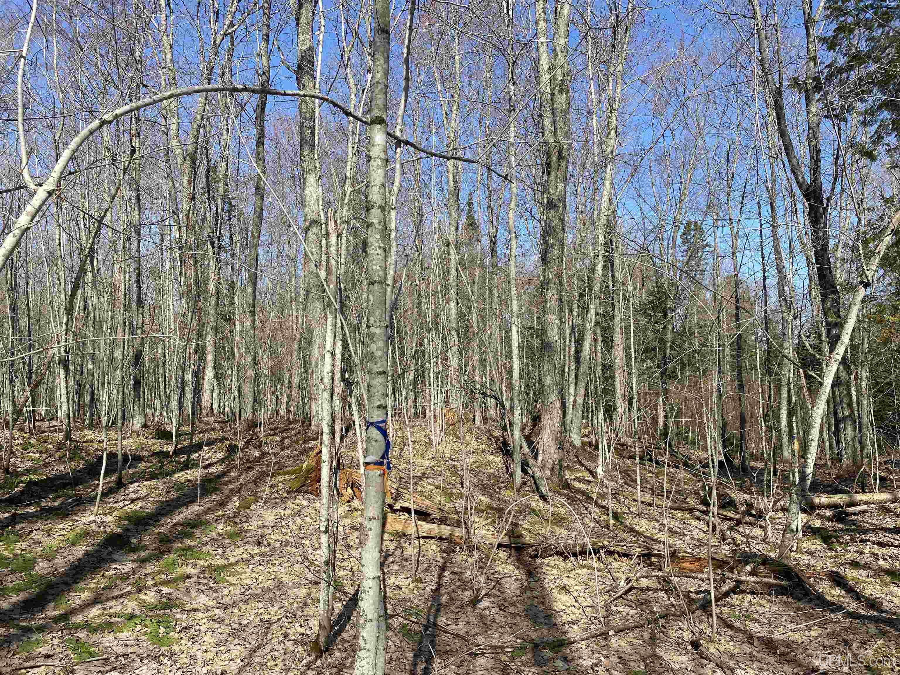 Tbd Lot 23 Keweenaw Pass Property Photo 32