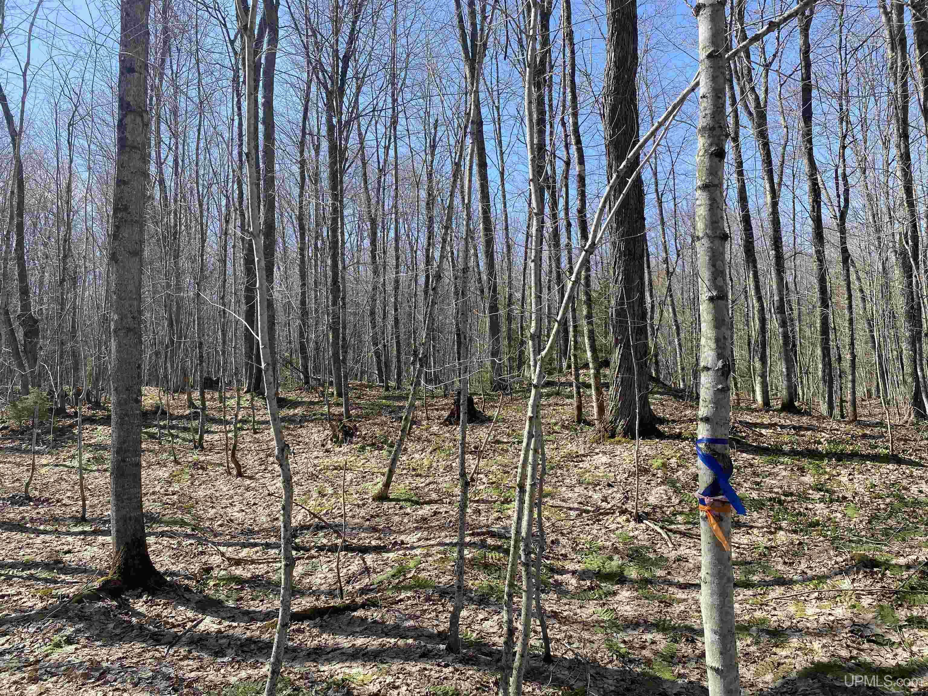 Tbd Lot 23 Keweenaw Pass Property Photo 33