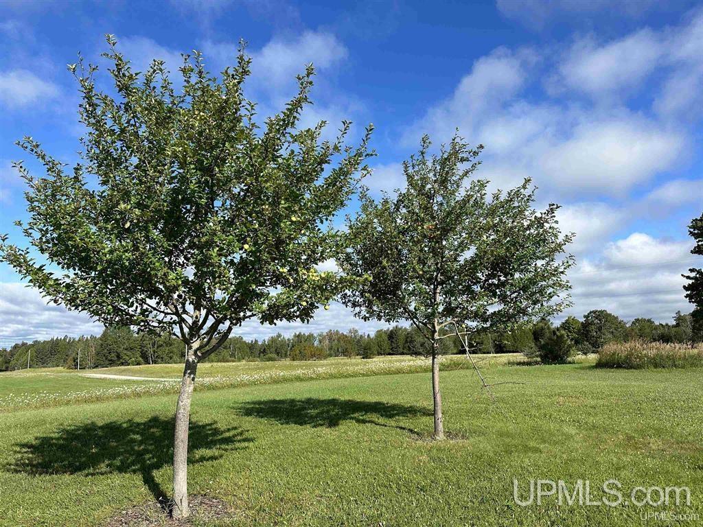 N19297 N B-1 Road Property Photo 35