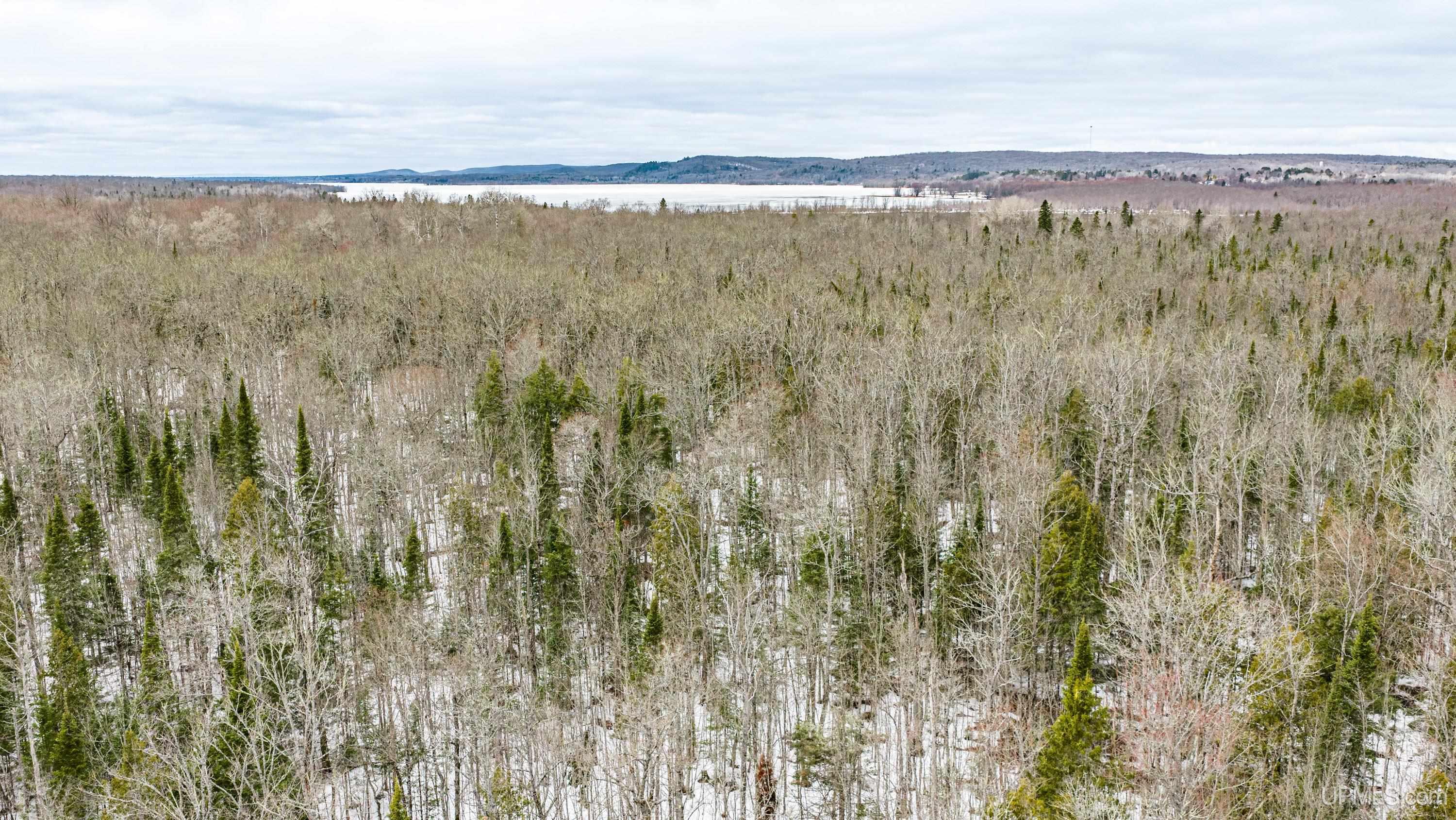 Tbd38 E Shore Road Property Photo 8