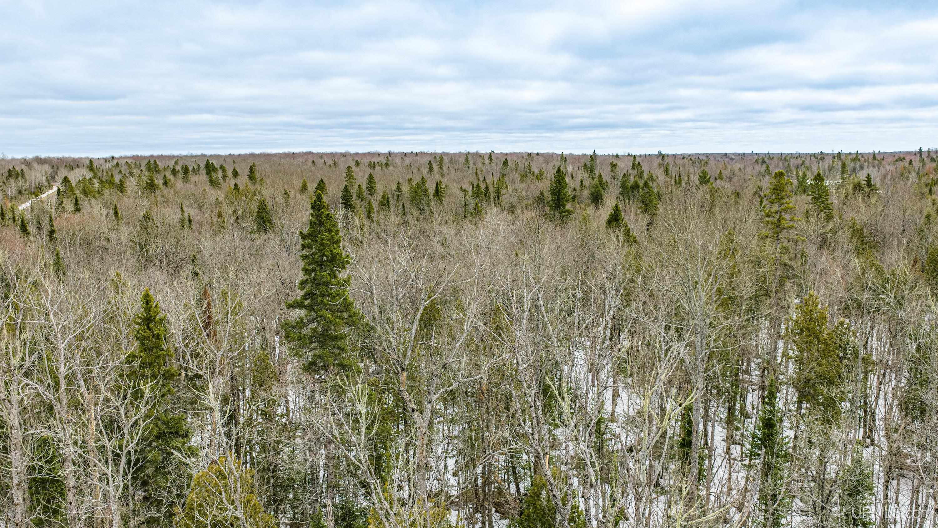 Tbd38 E Shore Road Property Photo 13