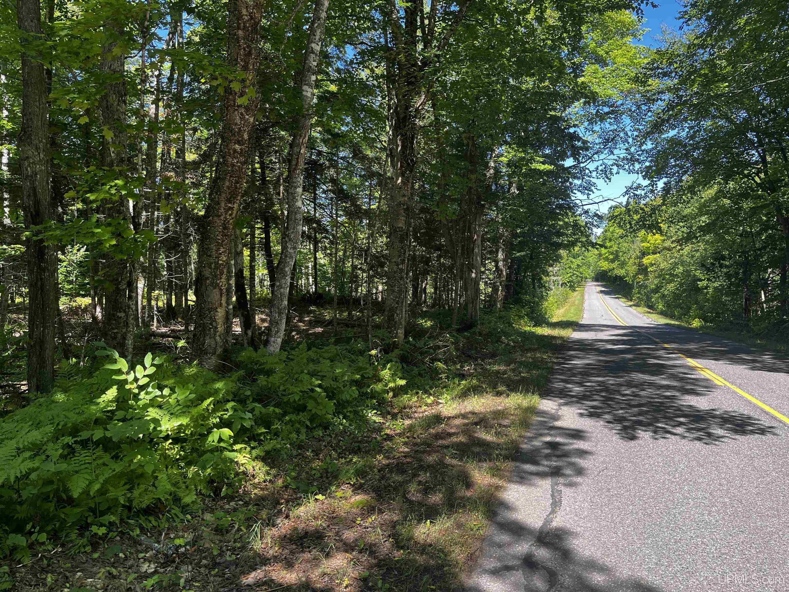 40 Acres Dukes Road Property Photo 1
