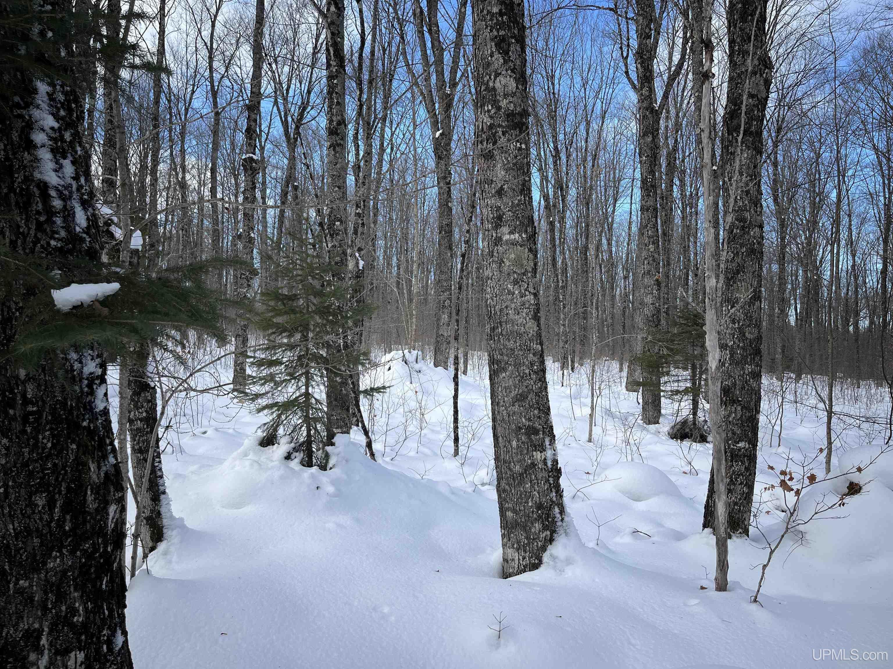 Tbd Cable Lake Road Property Photo 3