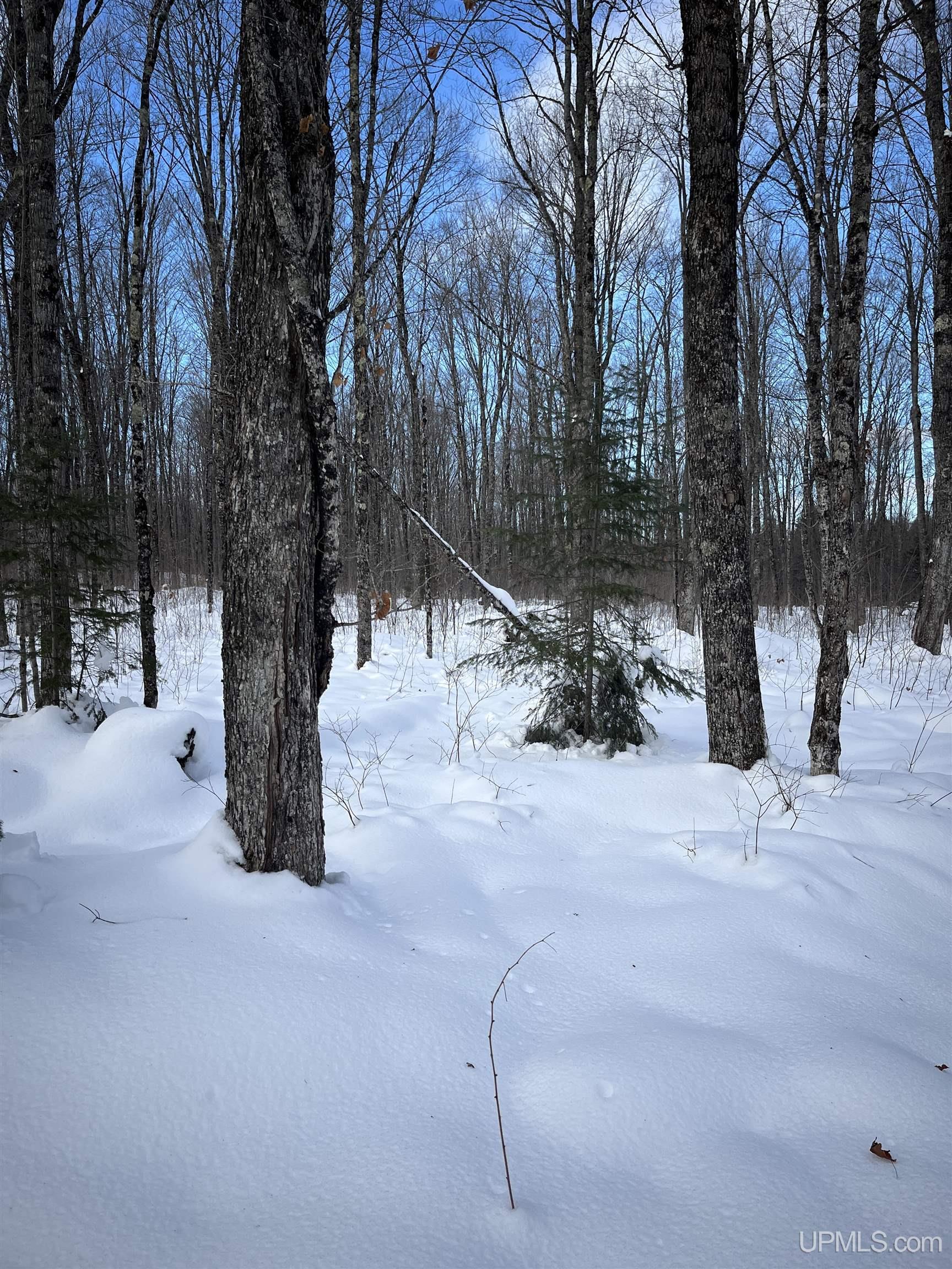 Tbd Cable Lake Road Property Photo 4