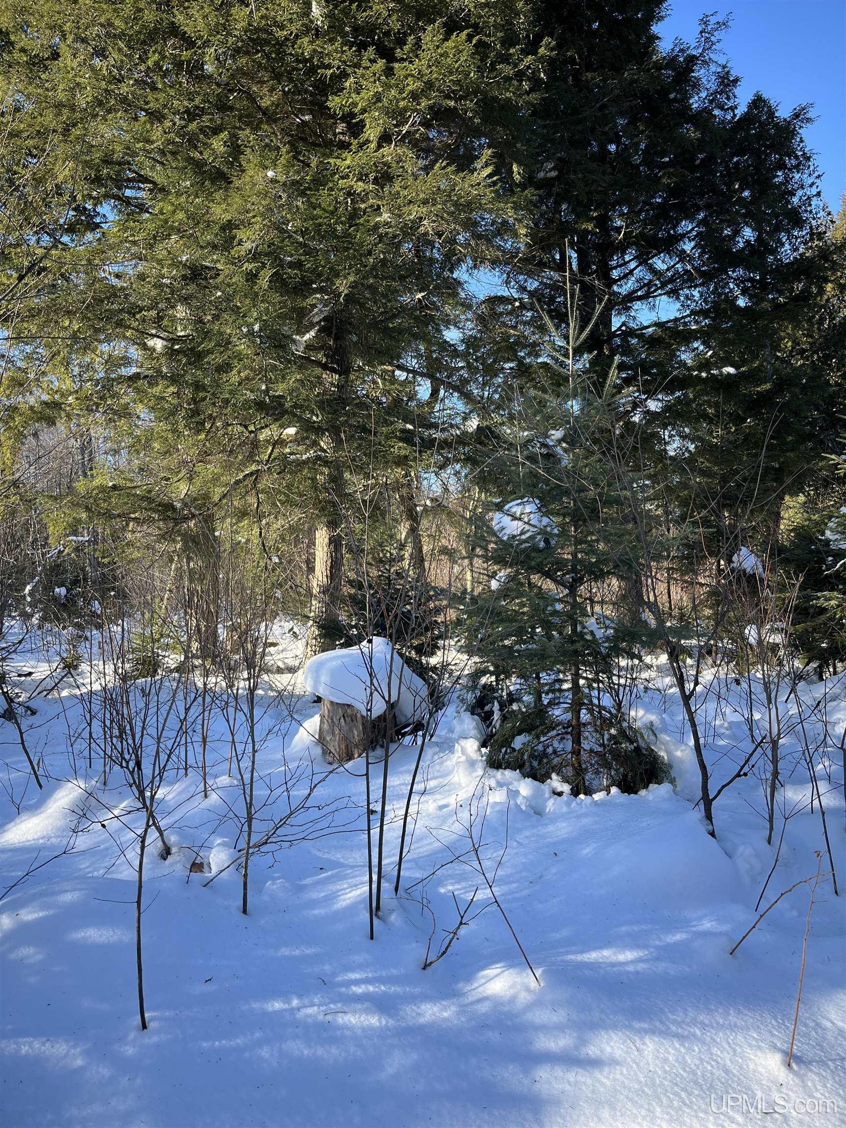 Tbd Cable Lake Road Property Photo 19