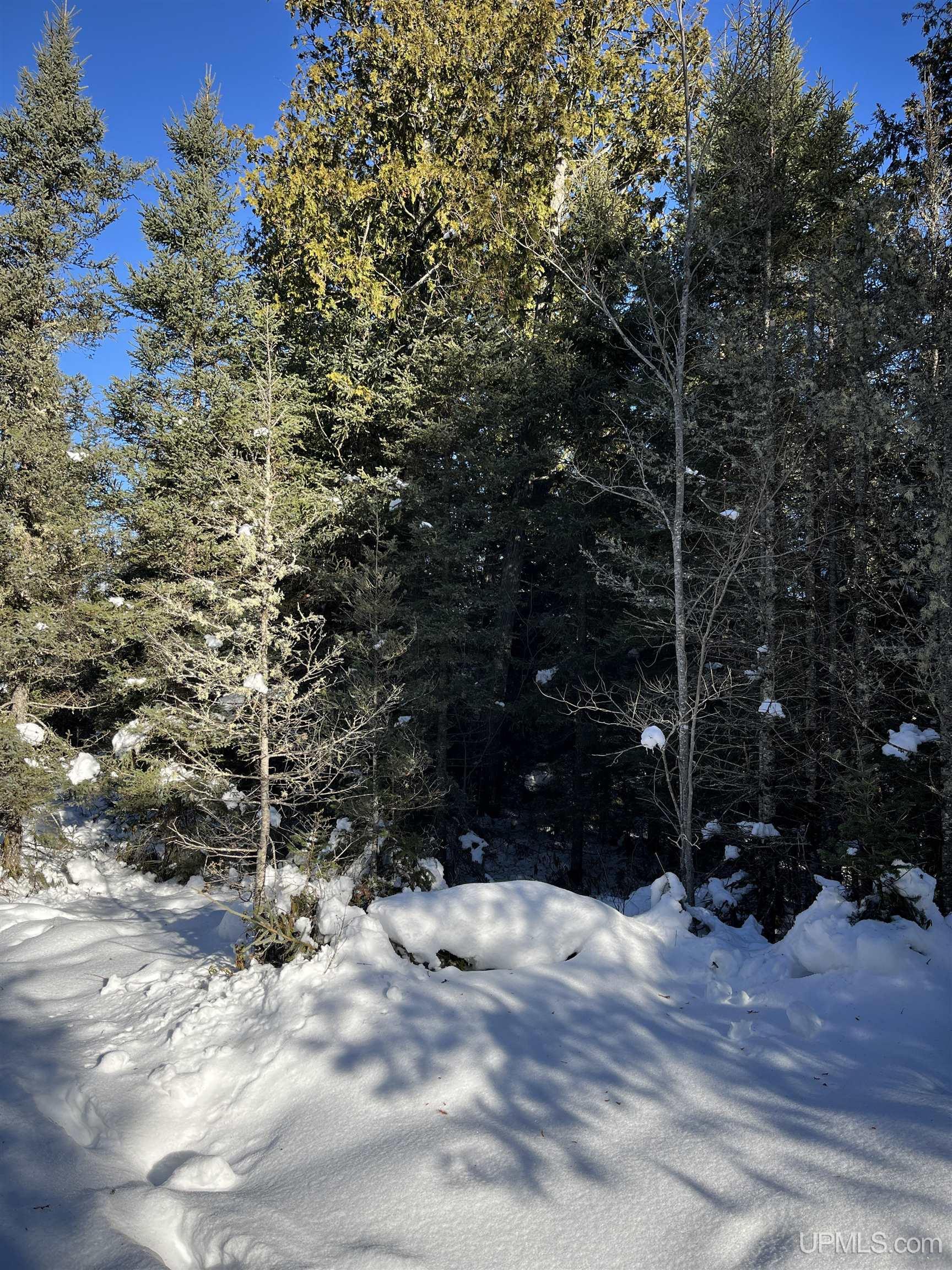 Tbd Cable Lake Road Property Photo 24