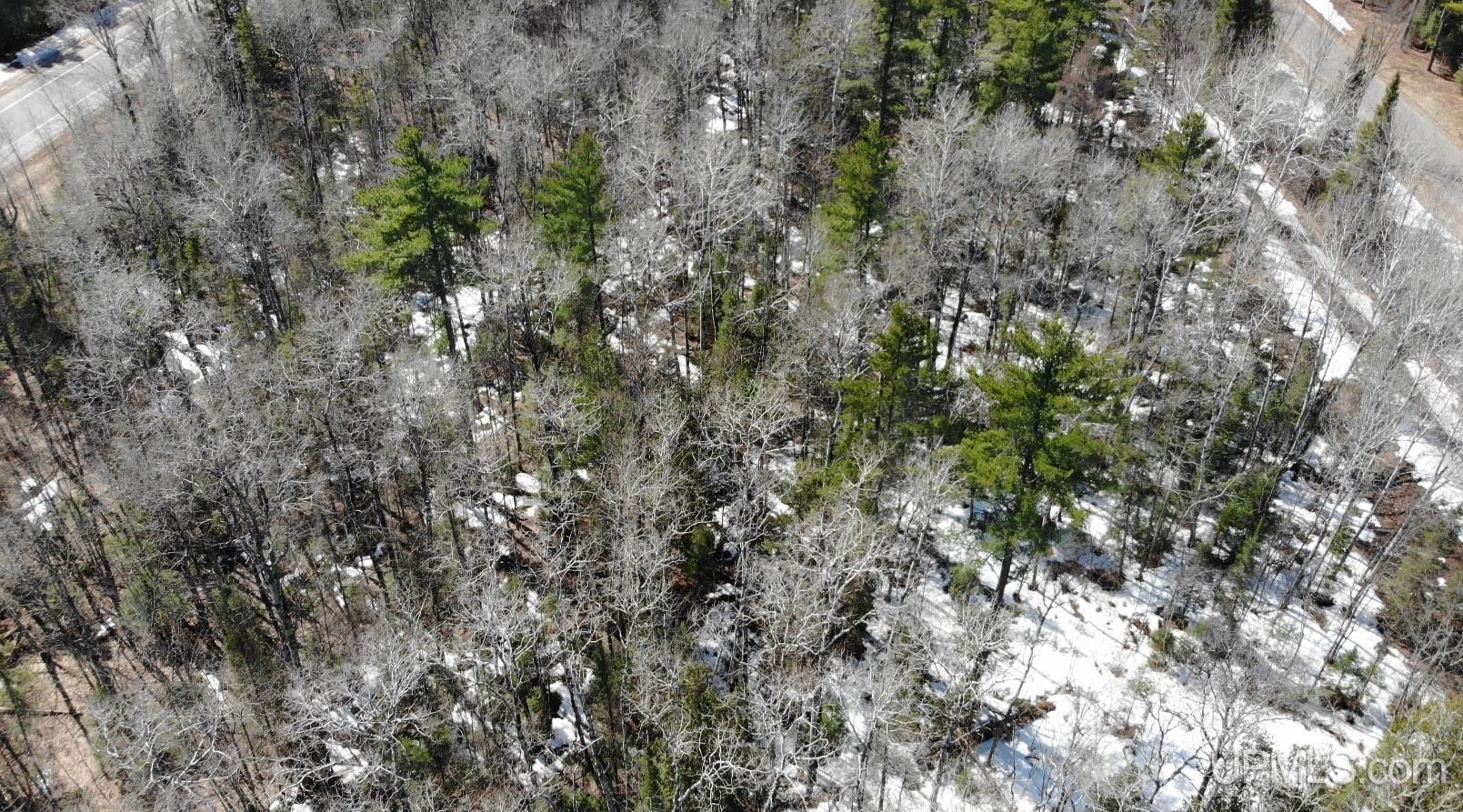 Tbd 1 Hwy M28 Highway Property Photo 5