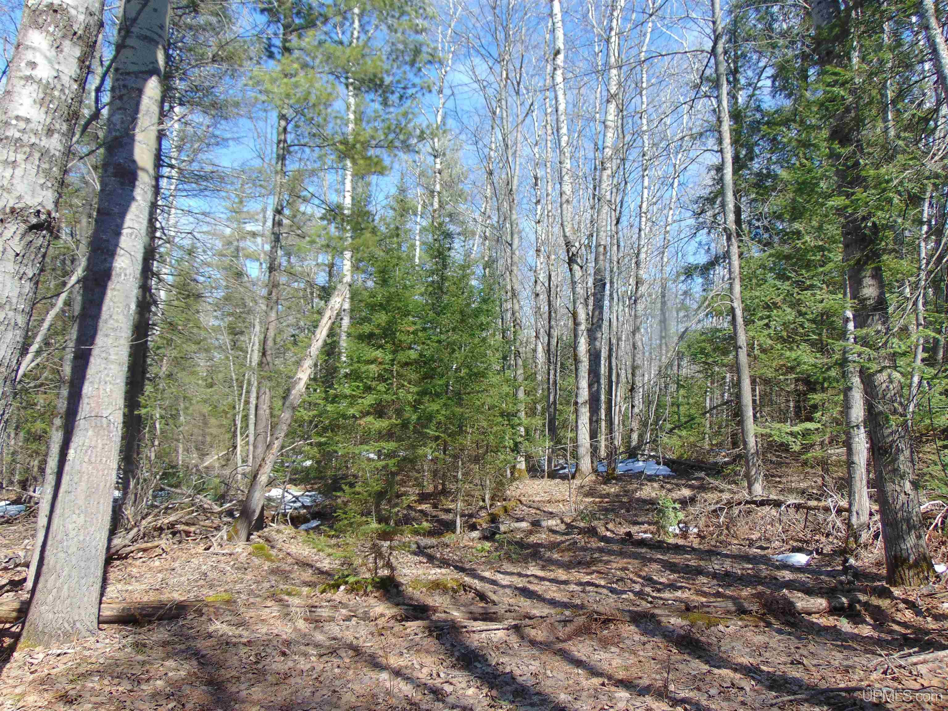 Tbd 1 Hwy M28 Highway Property Photo 8