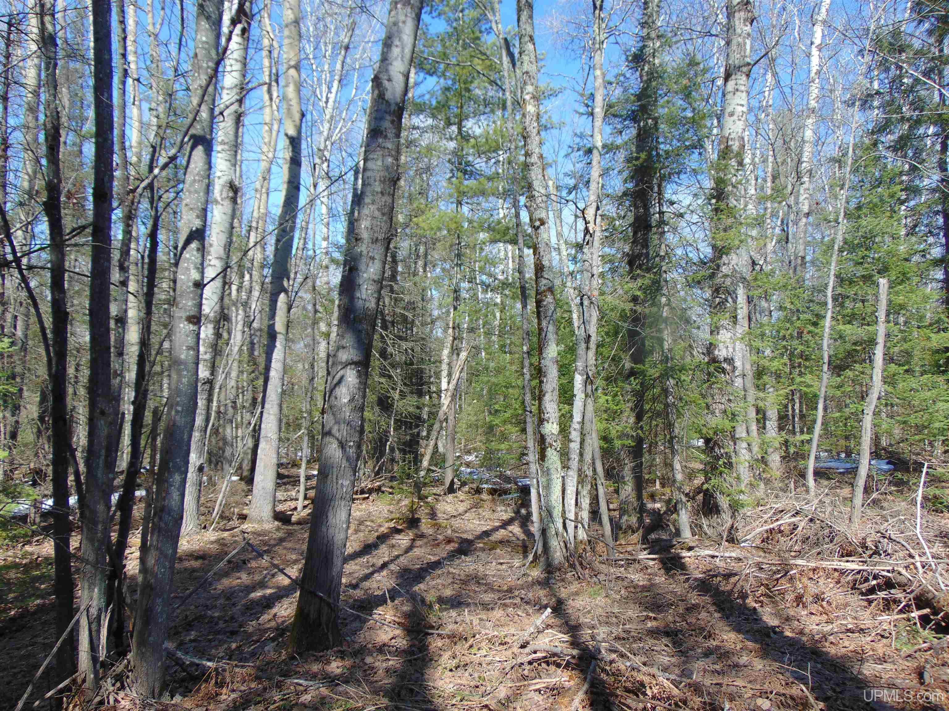 Tbd 1 Hwy M28 Highway Property Photo 9