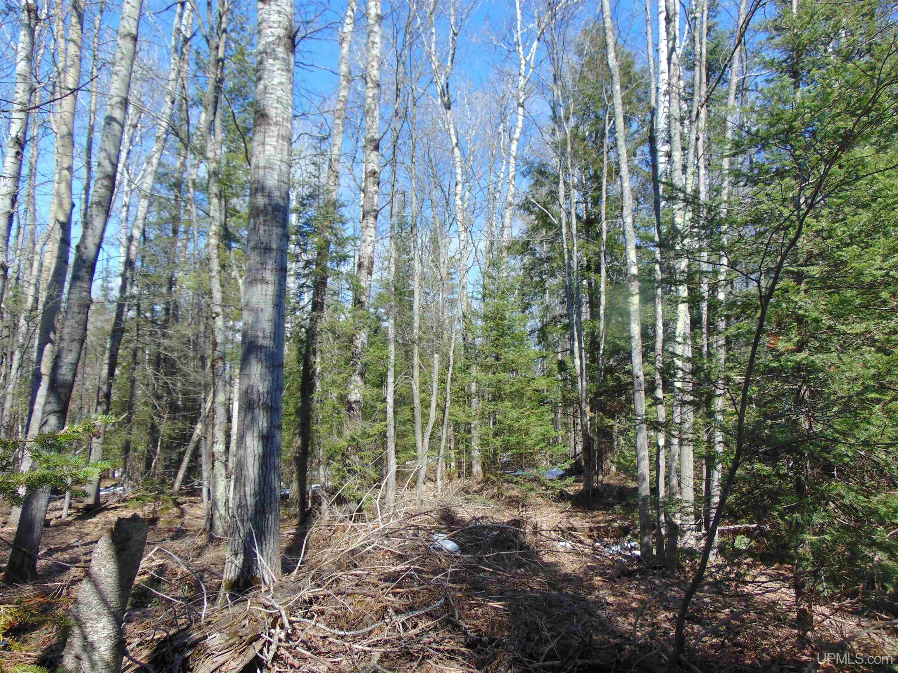 Tbd 1 Hwy M28 Highway Property Photo 10