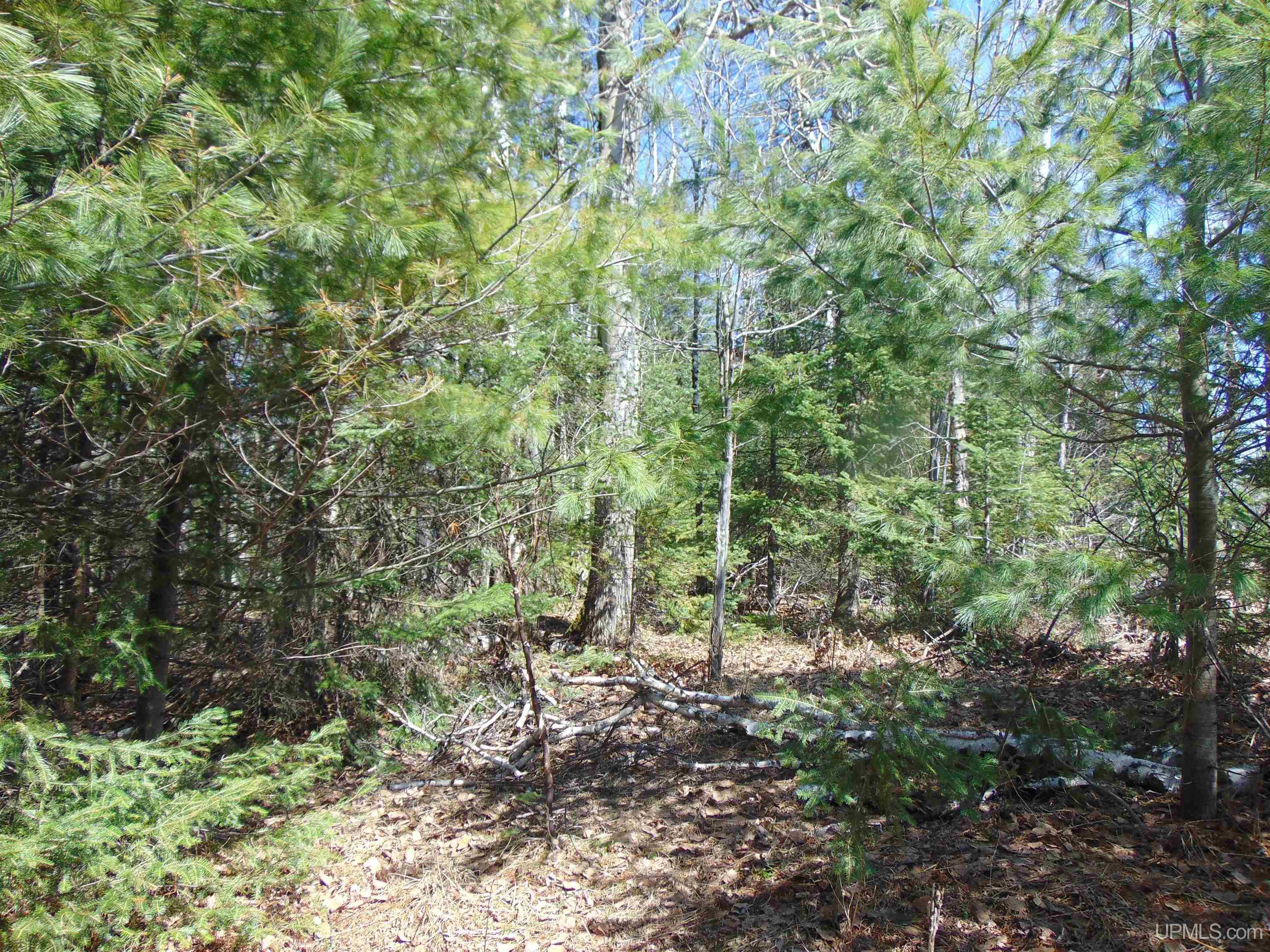 Tbd 1 Hwy M28 Highway Property Photo 11