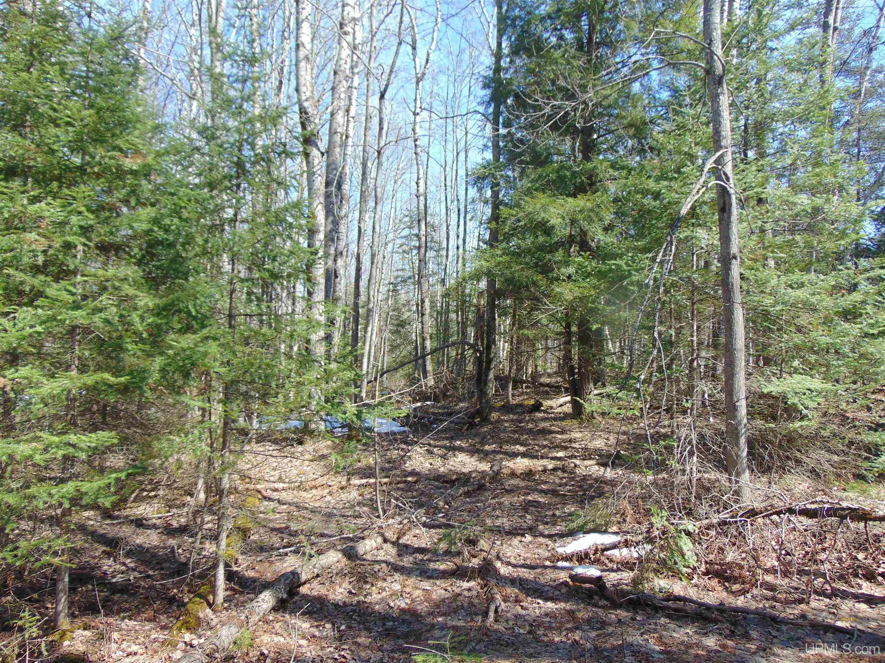 Tbd 1 Hwy M28 Highway Property Photo 12
