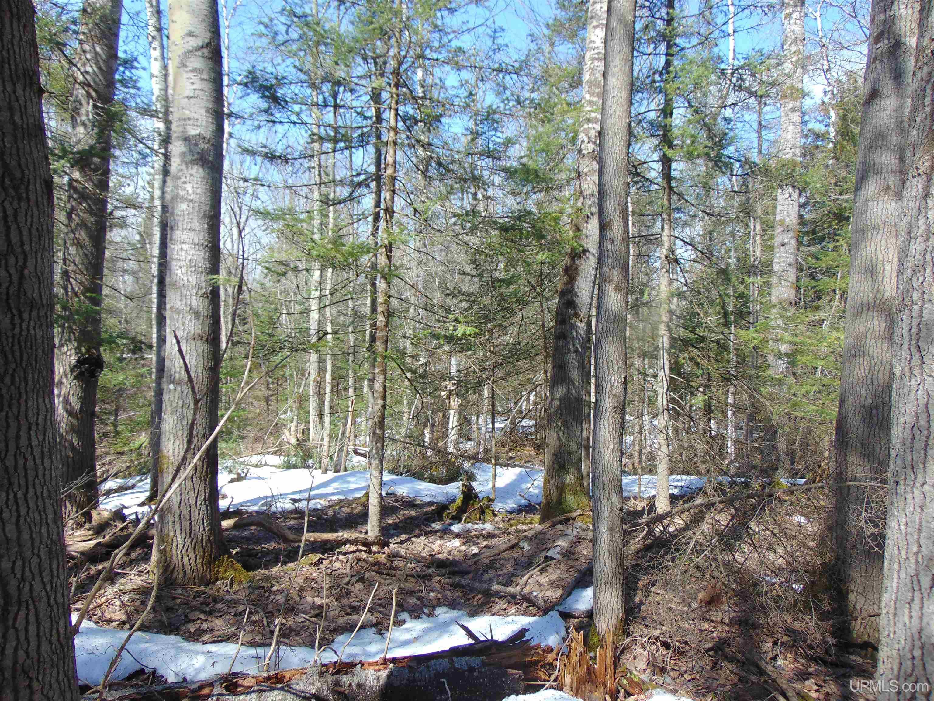 Tbd 1 Hwy M28 Highway Property Photo 13