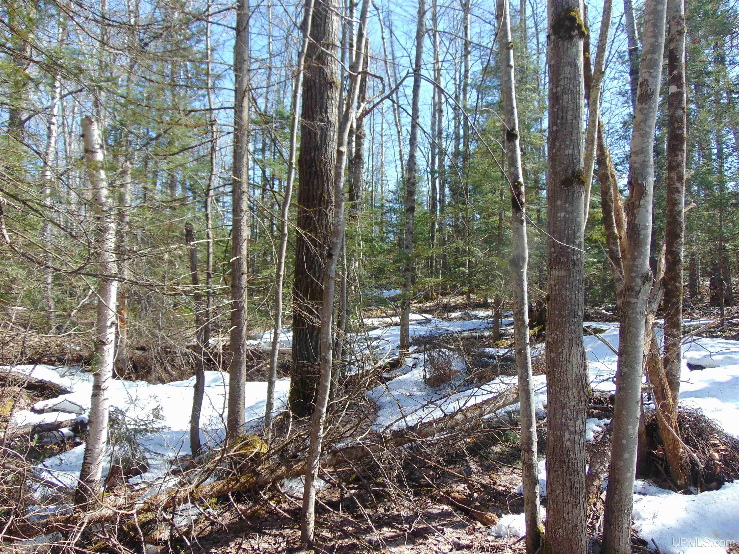 Tbd 1 Hwy M28 Highway Property Photo 15