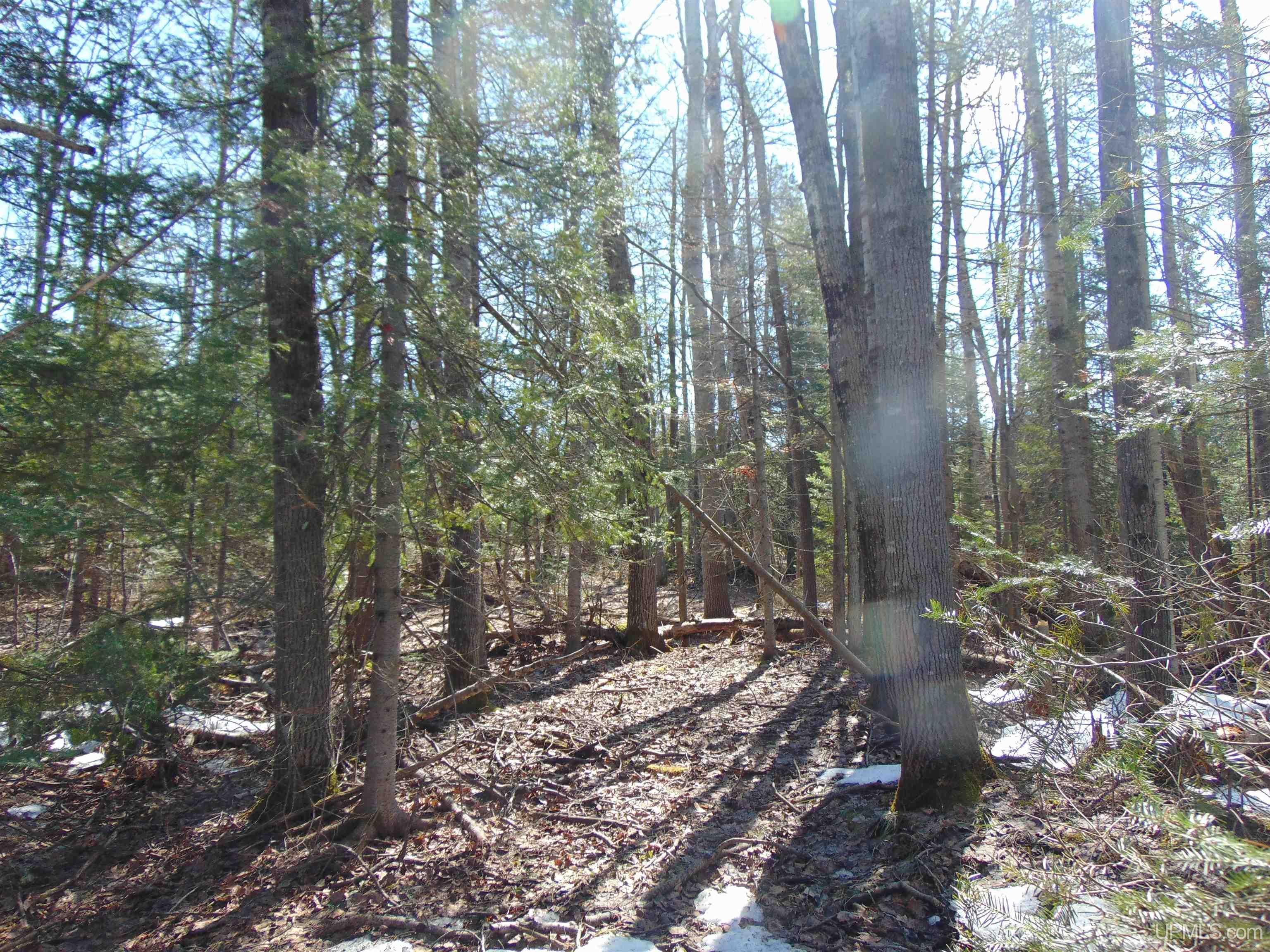 Tbd 1 Hwy M28 Highway Property Photo 16
