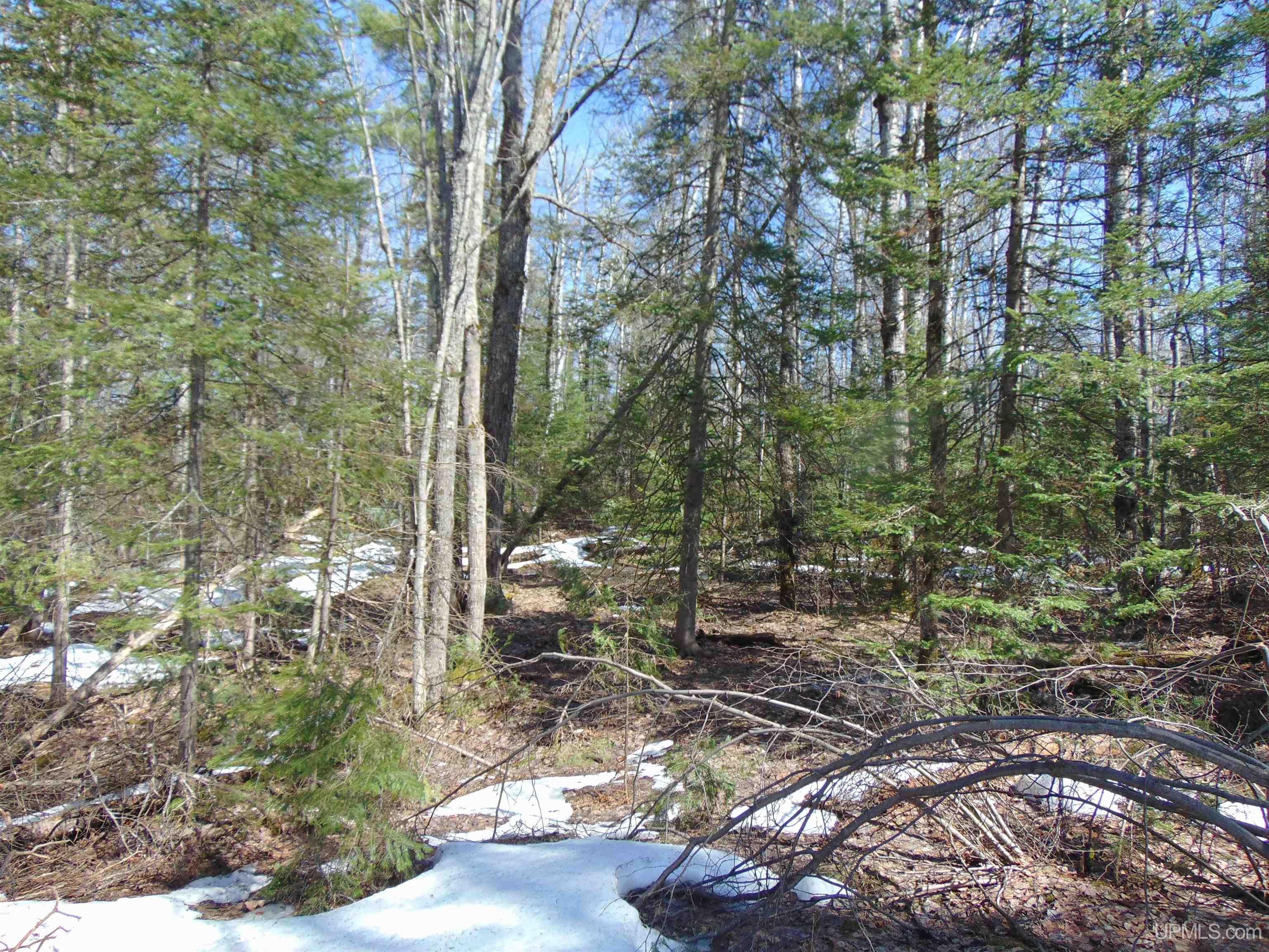 Tbd 1 Hwy M28 Highway Property Photo 17