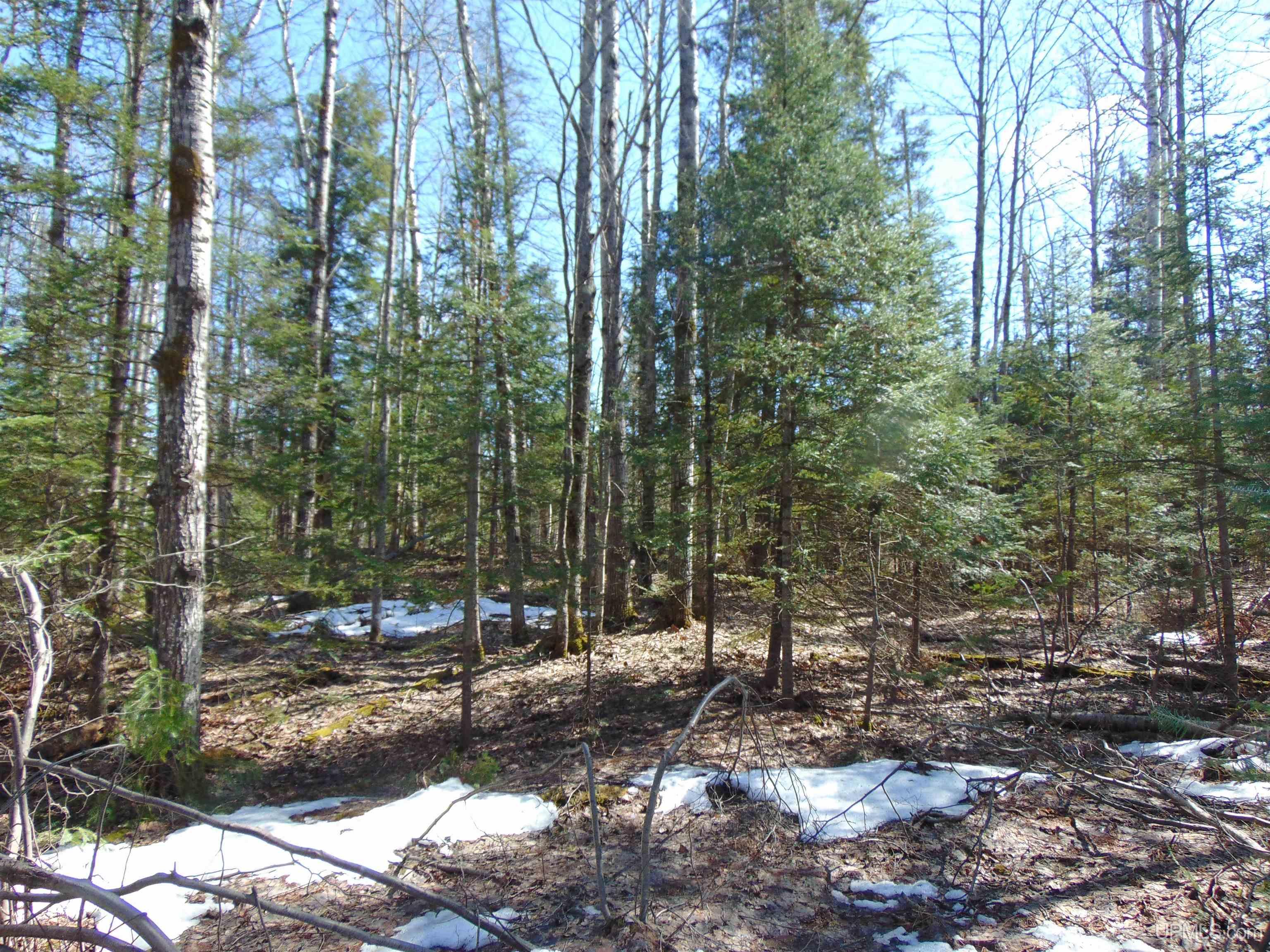 Tbd 1 Hwy M28 Highway Property Photo 18