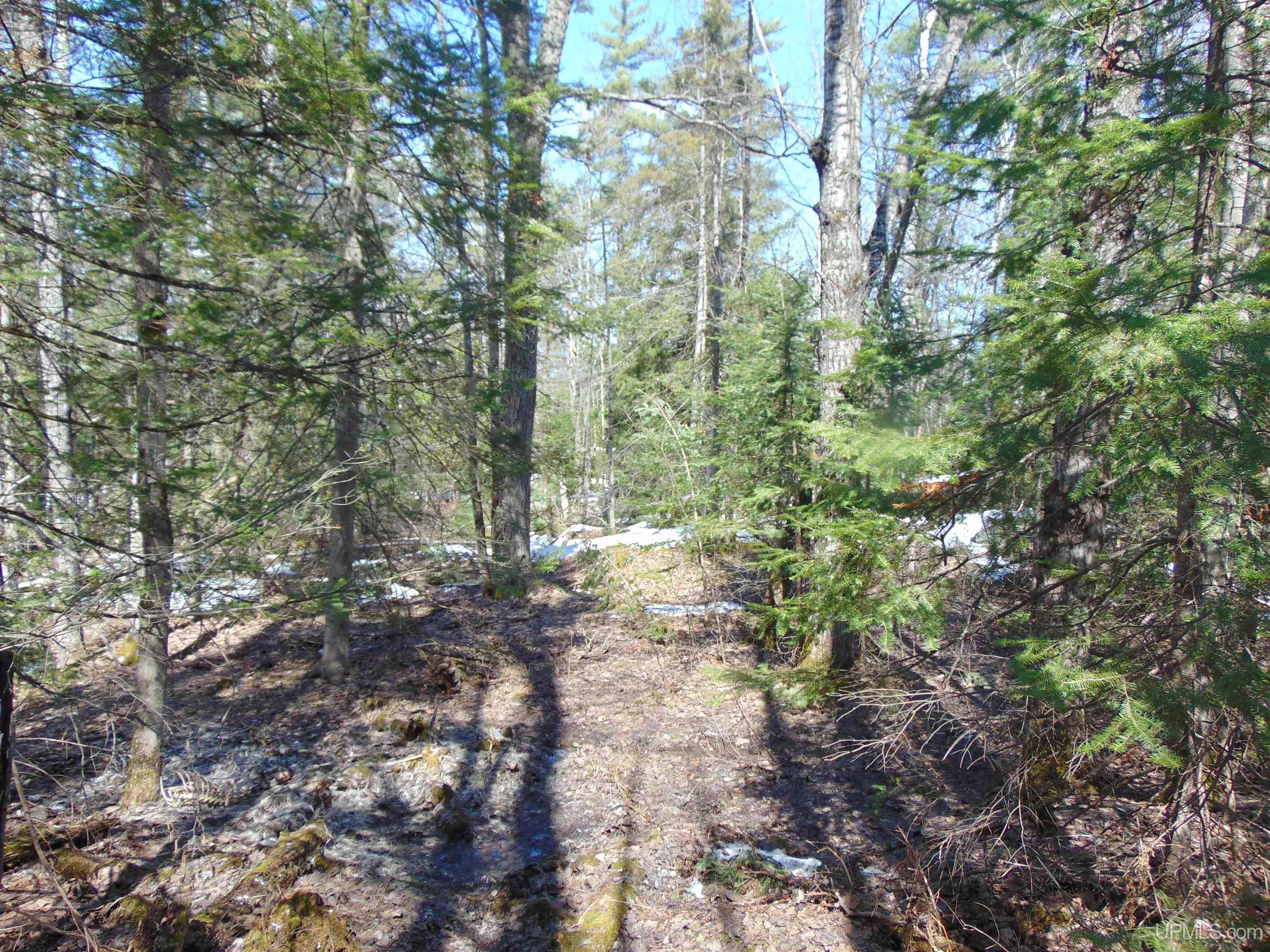 Tbd 1 Hwy M28 Highway Property Photo 19