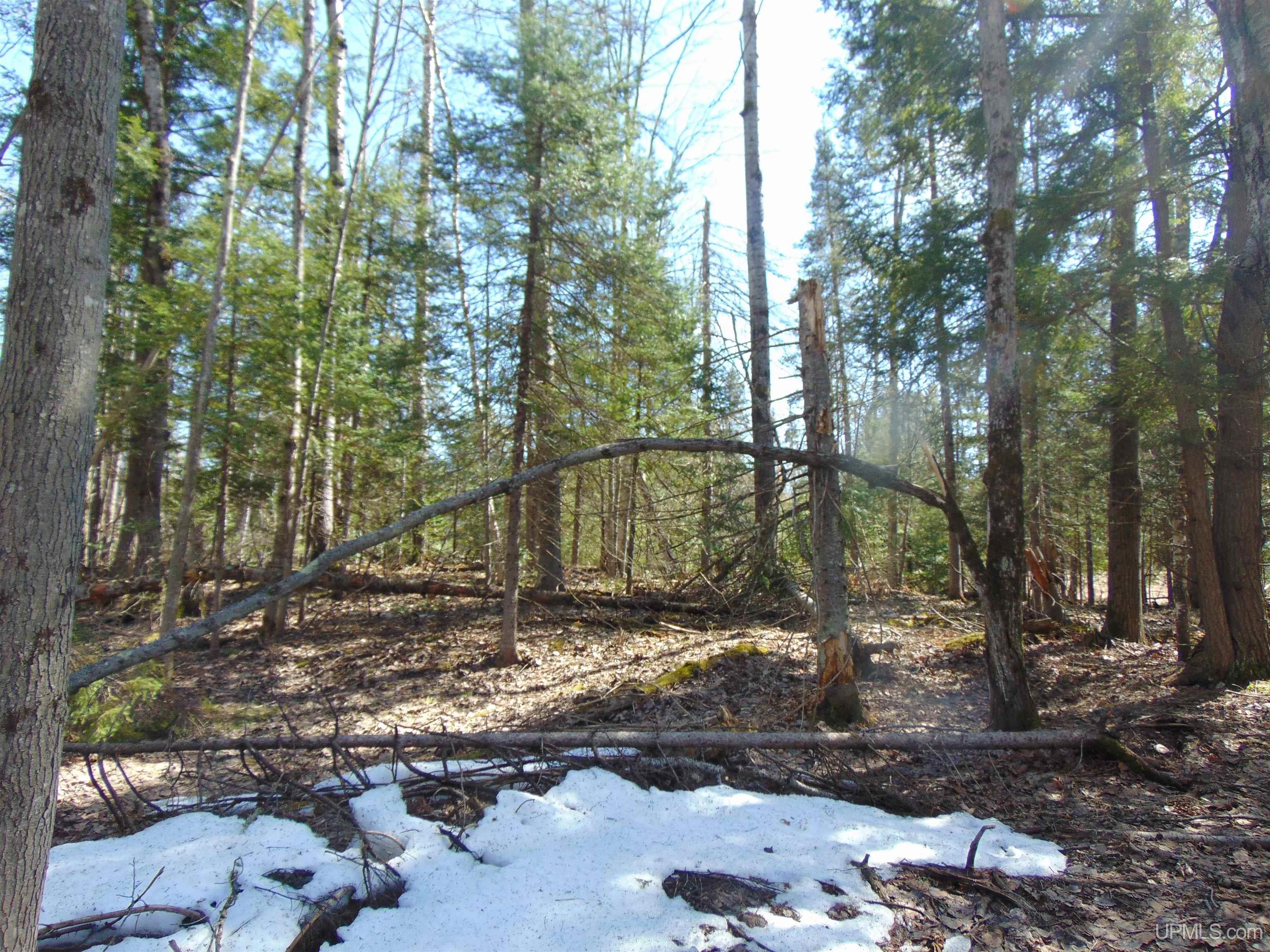 Tbd 1 Hwy M28 Highway Property Photo 20