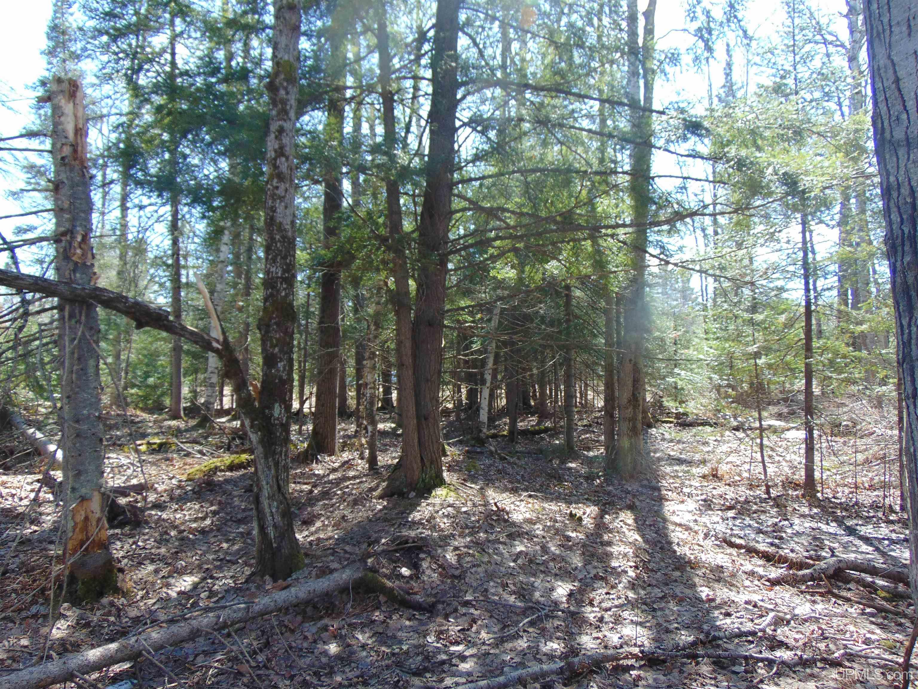 Tbd 1 Hwy M28 Highway Property Photo 21