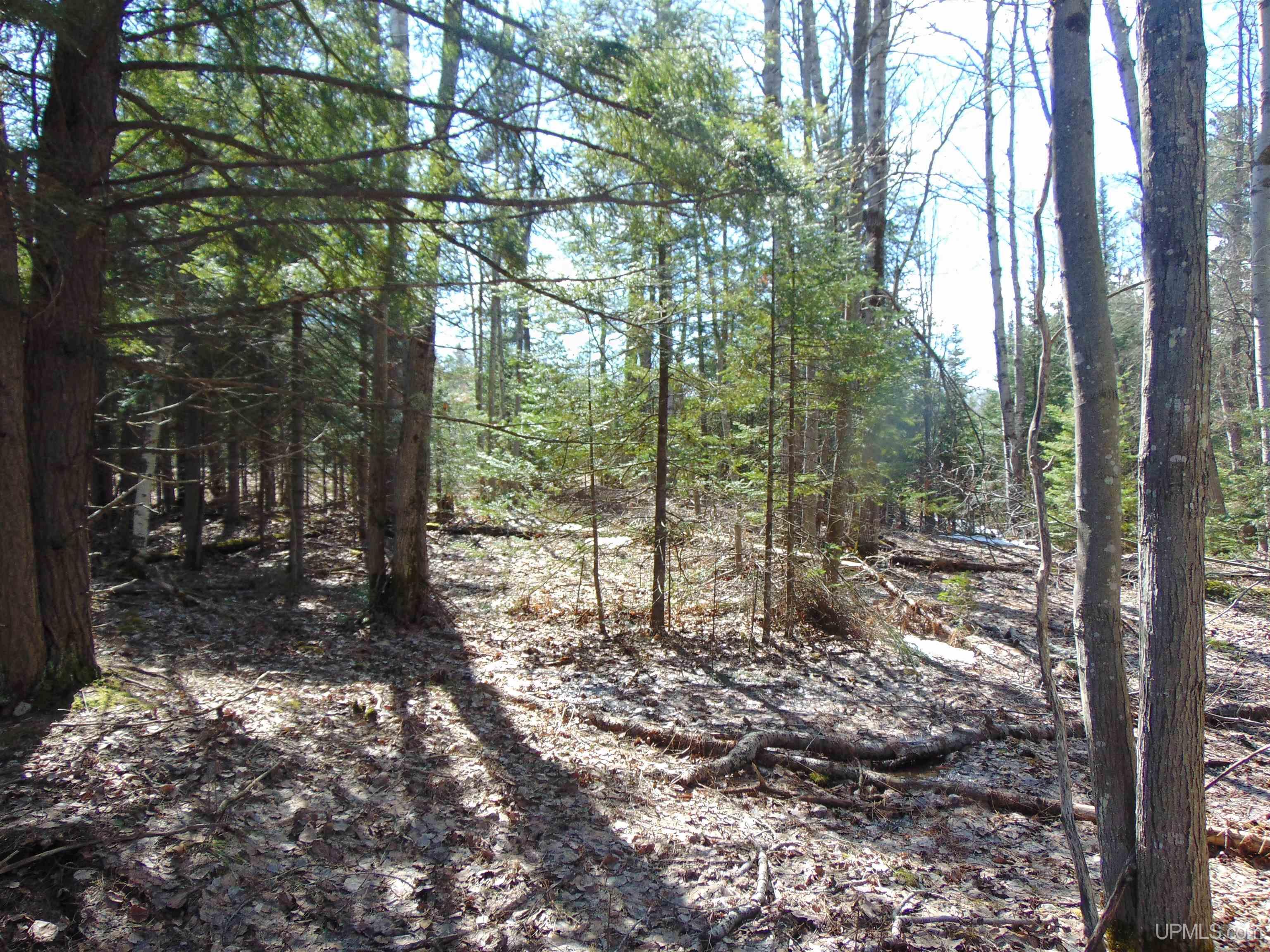 Tbd 1 Hwy M28 Highway Property Photo 22