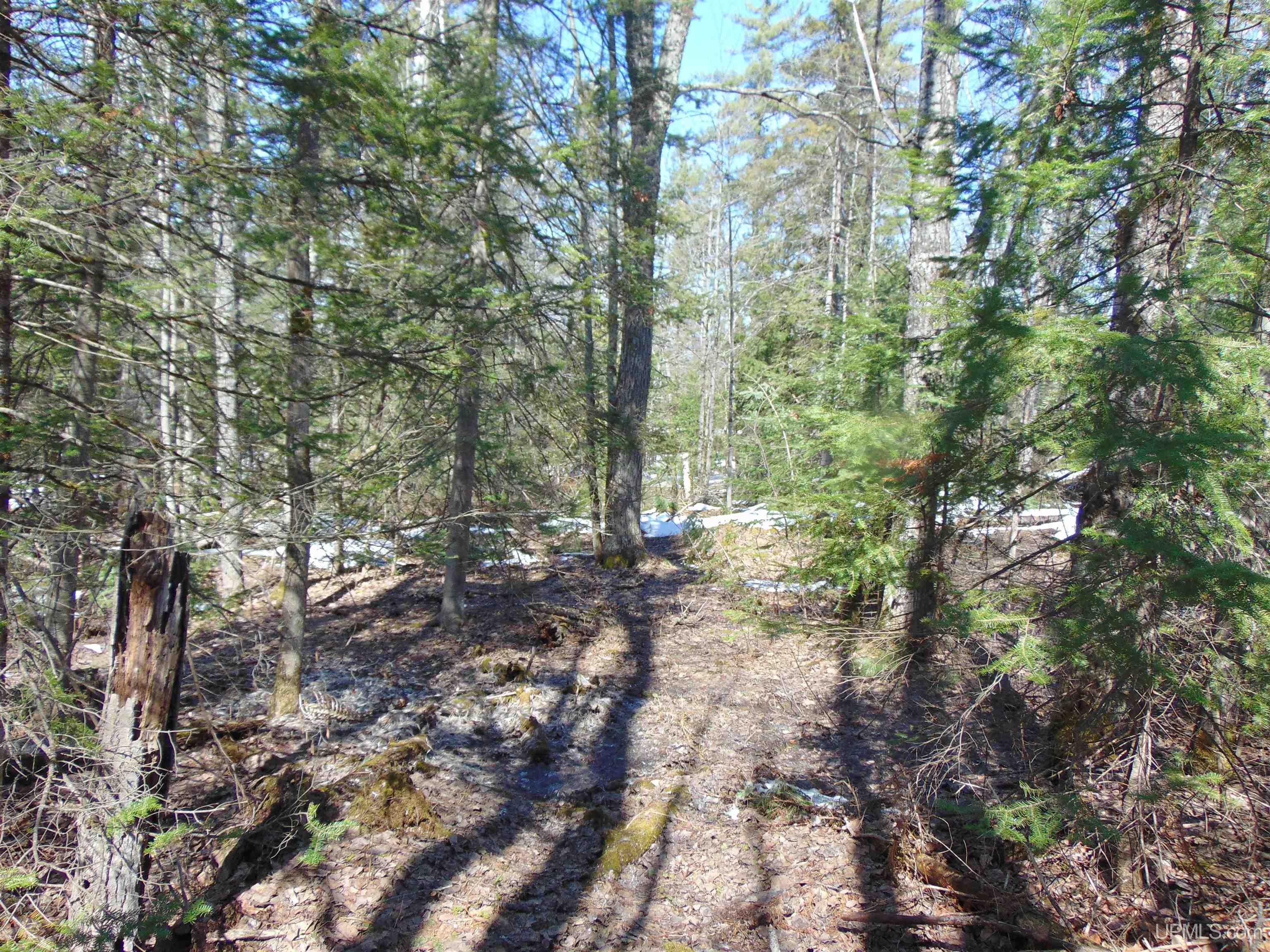 Tbd 1 Hwy M28 Highway Property Photo 23