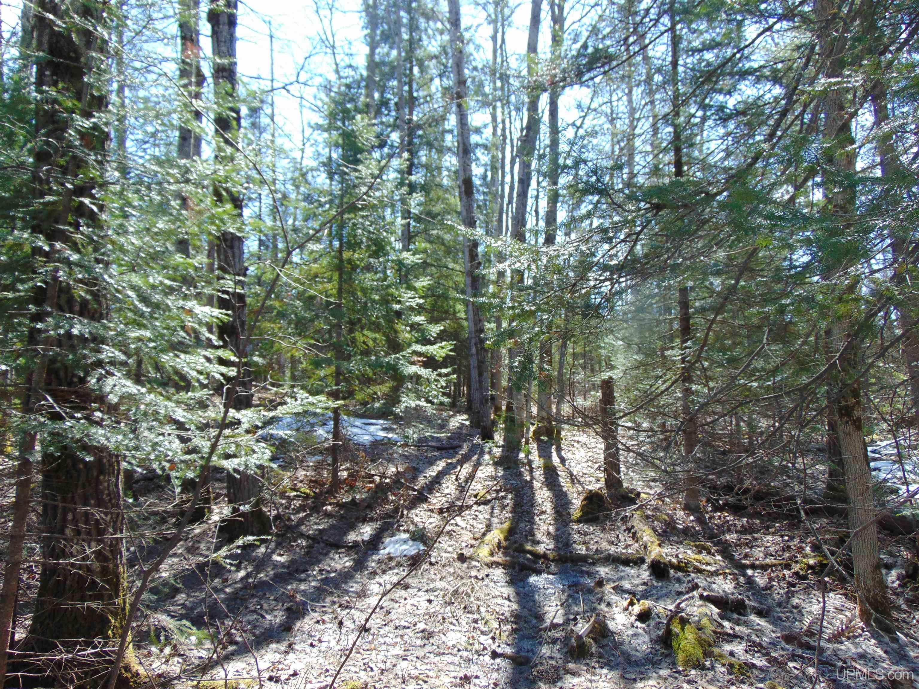 Tbd 1 Hwy M28 Highway Property Photo 29