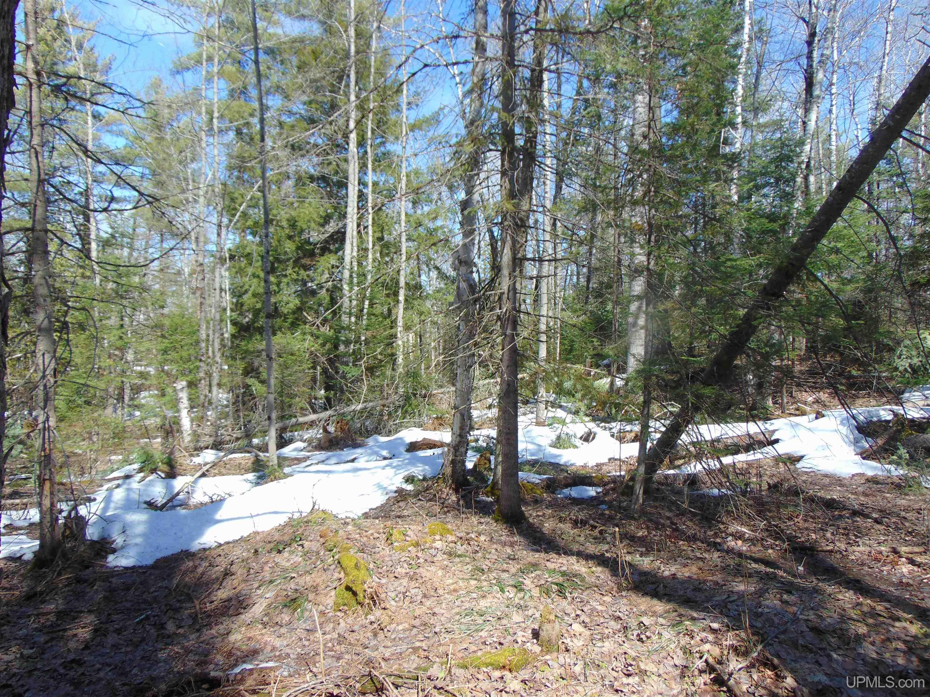 Tbd 1 Hwy M28 Highway Property Photo 30