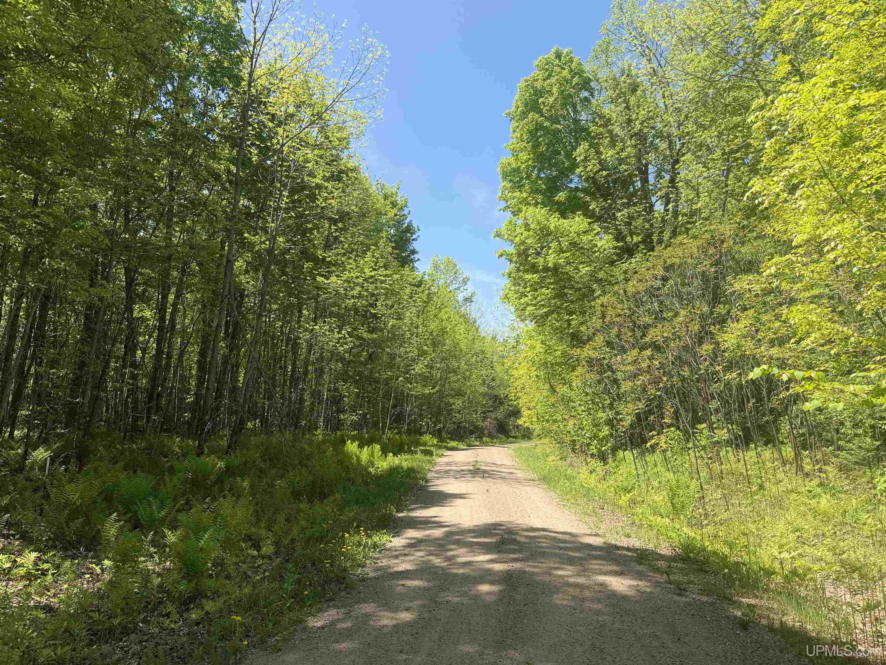 10662 139 Highway Property Photo 7