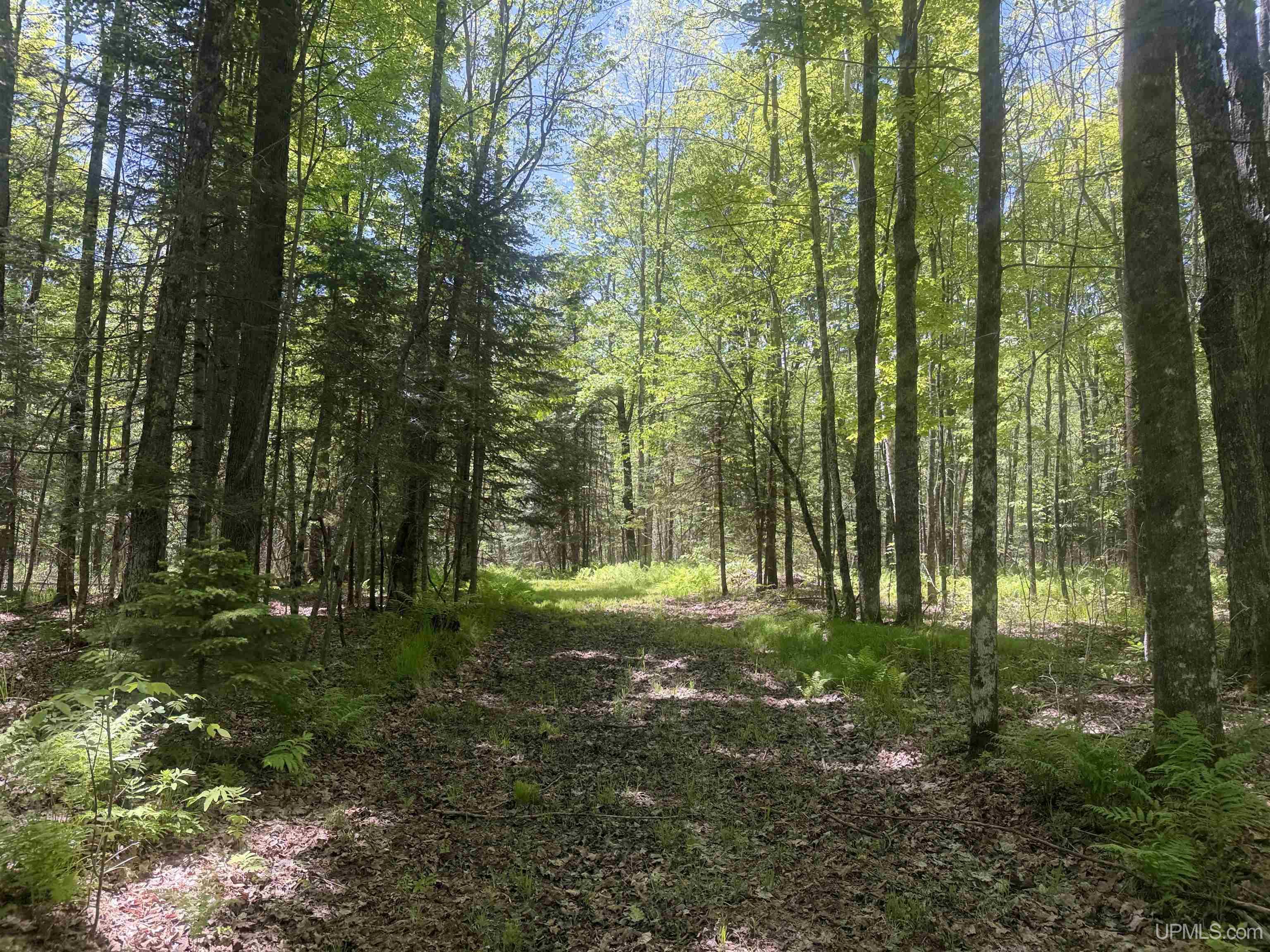 10662 139 Highway Property Photo 8