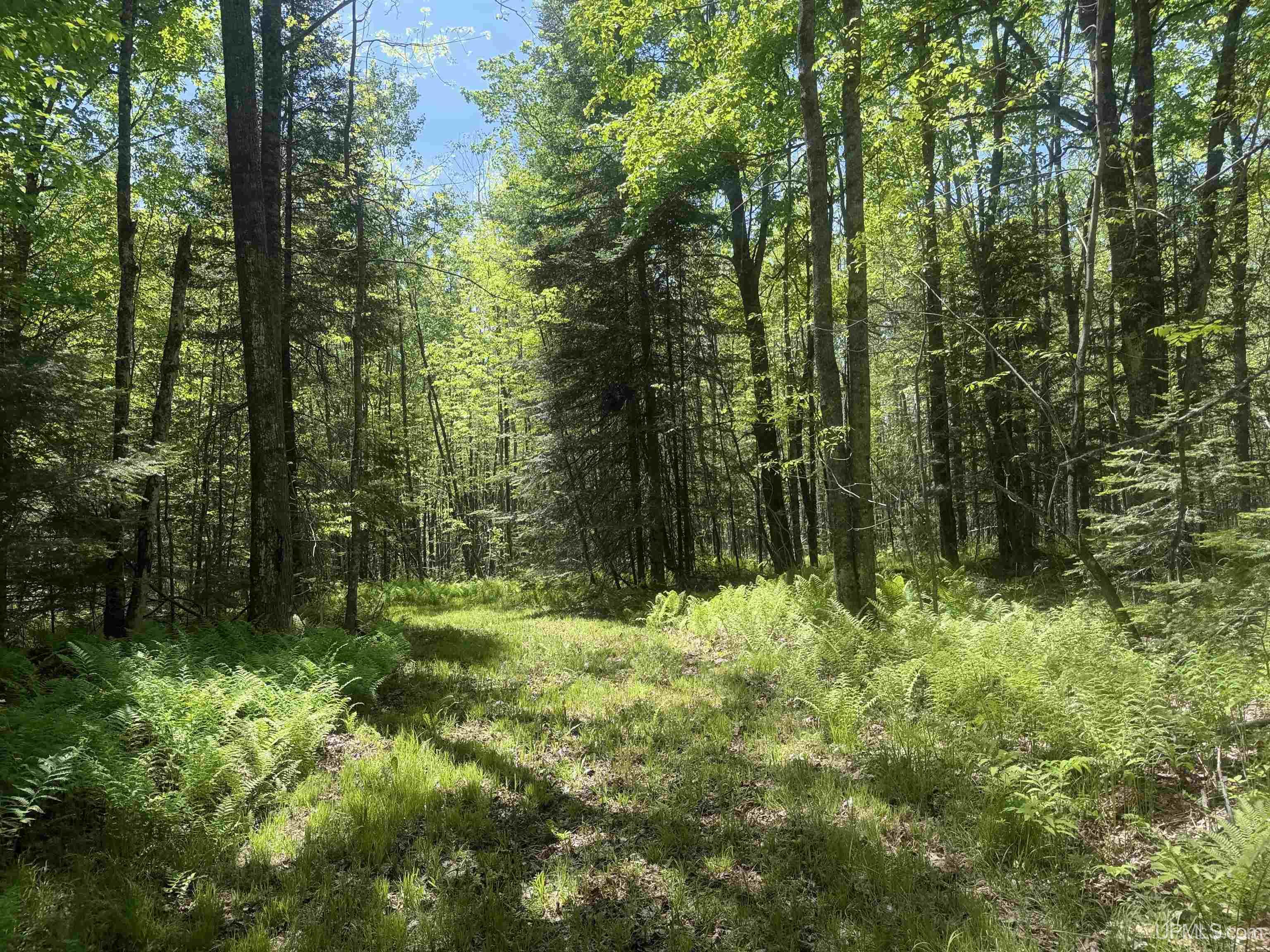 10662 139 Highway Property Photo 9