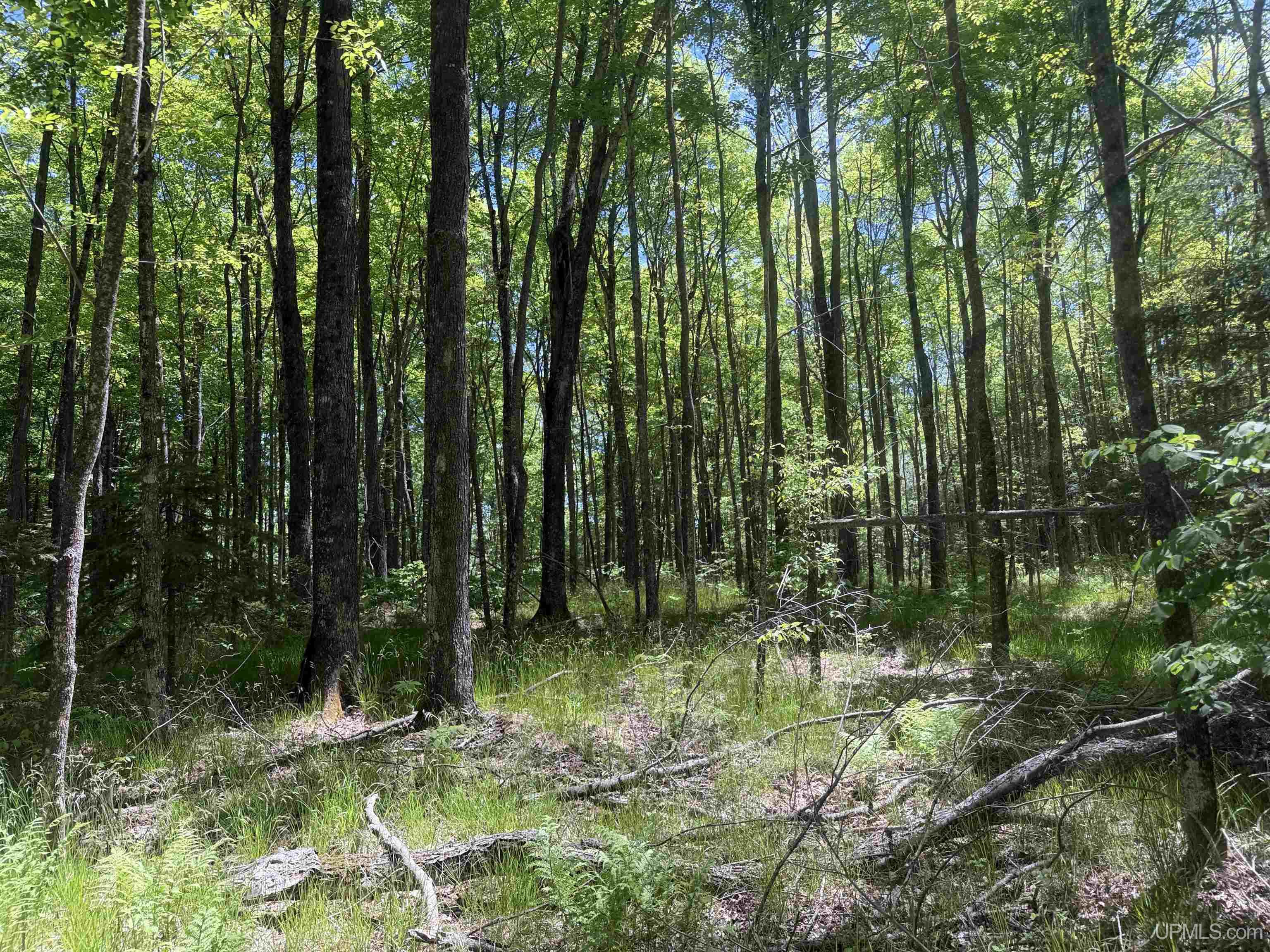 10662 139 Highway Property Photo 11