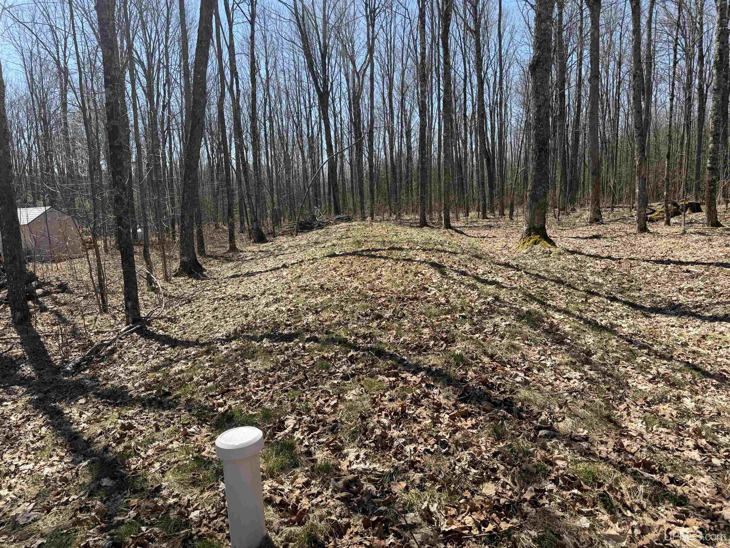 10662 139 Highway Property Photo 13