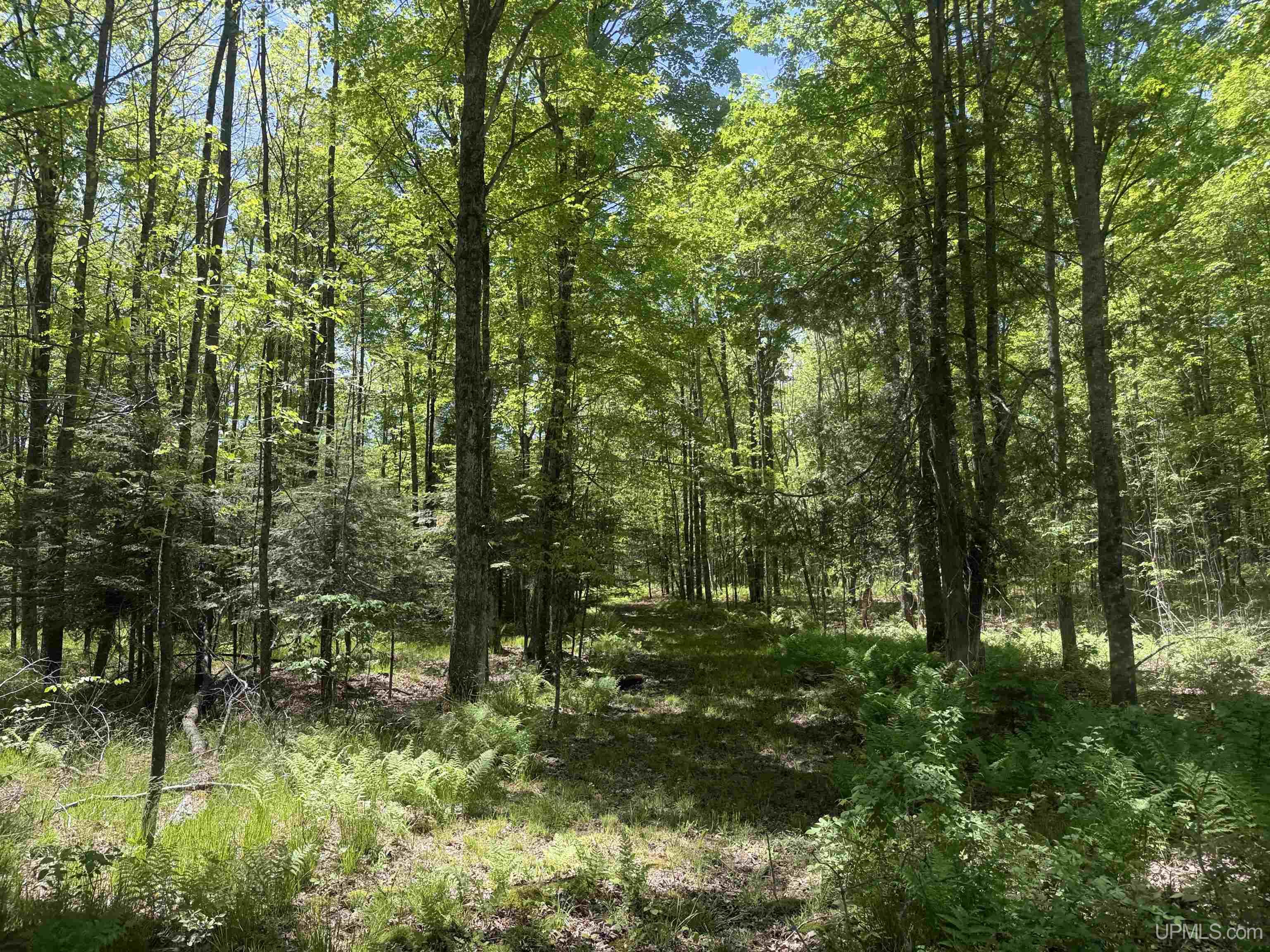 10662 139 Highway Property Photo 15