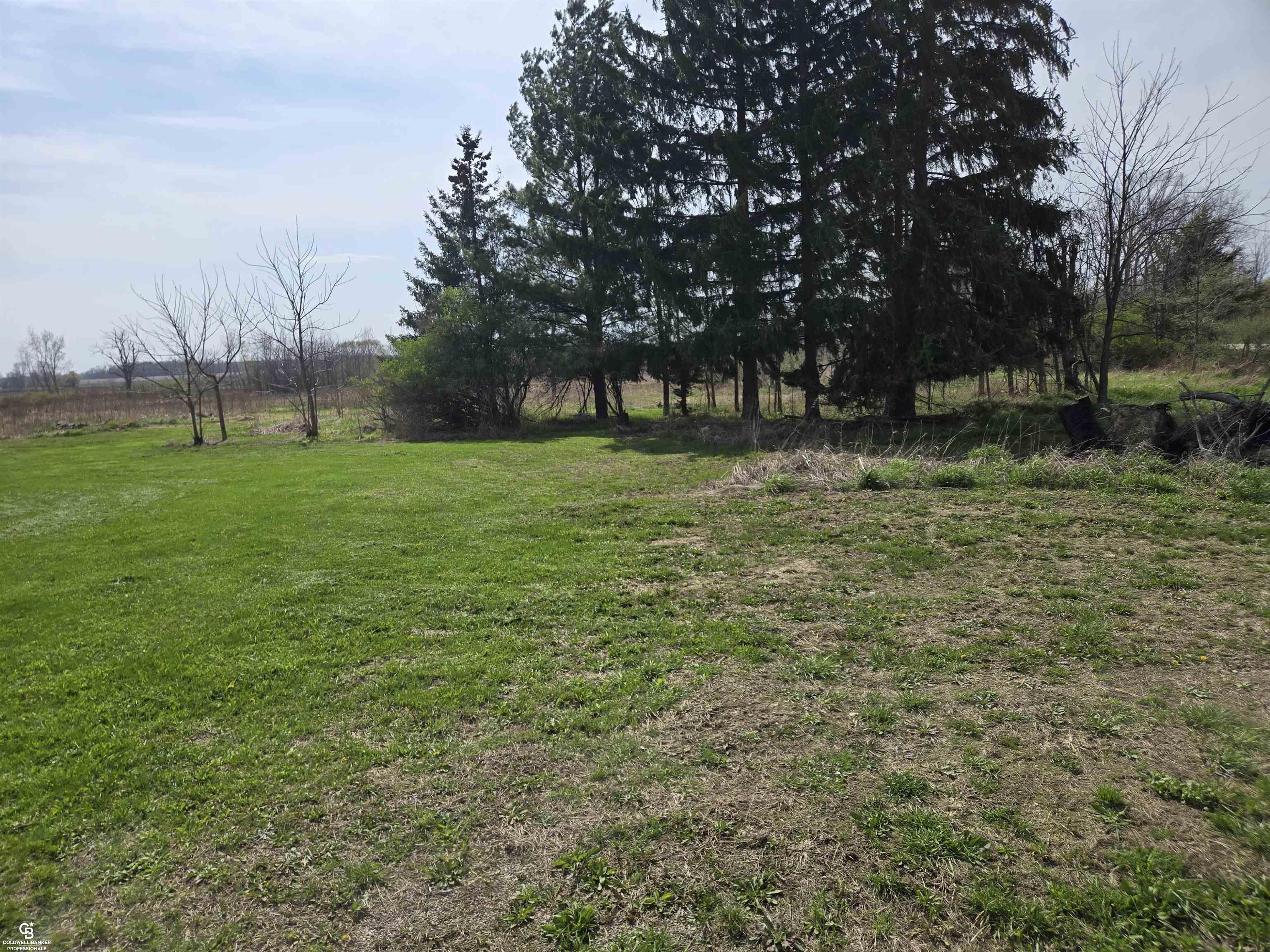 16433 Dudley Road Property Photo 4