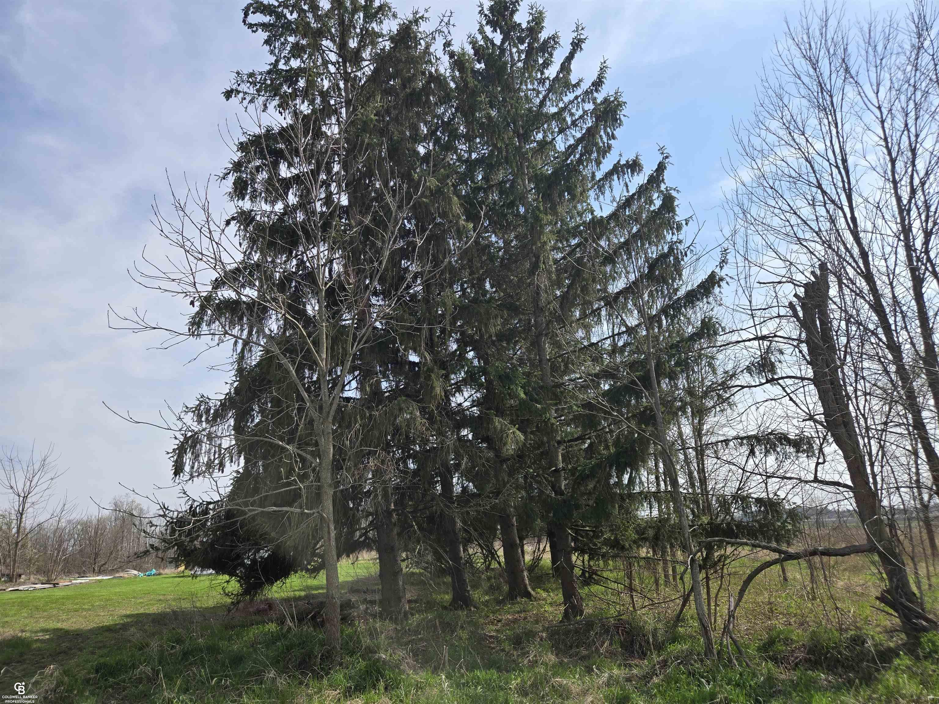 16433 Dudley Road Property Photo 7