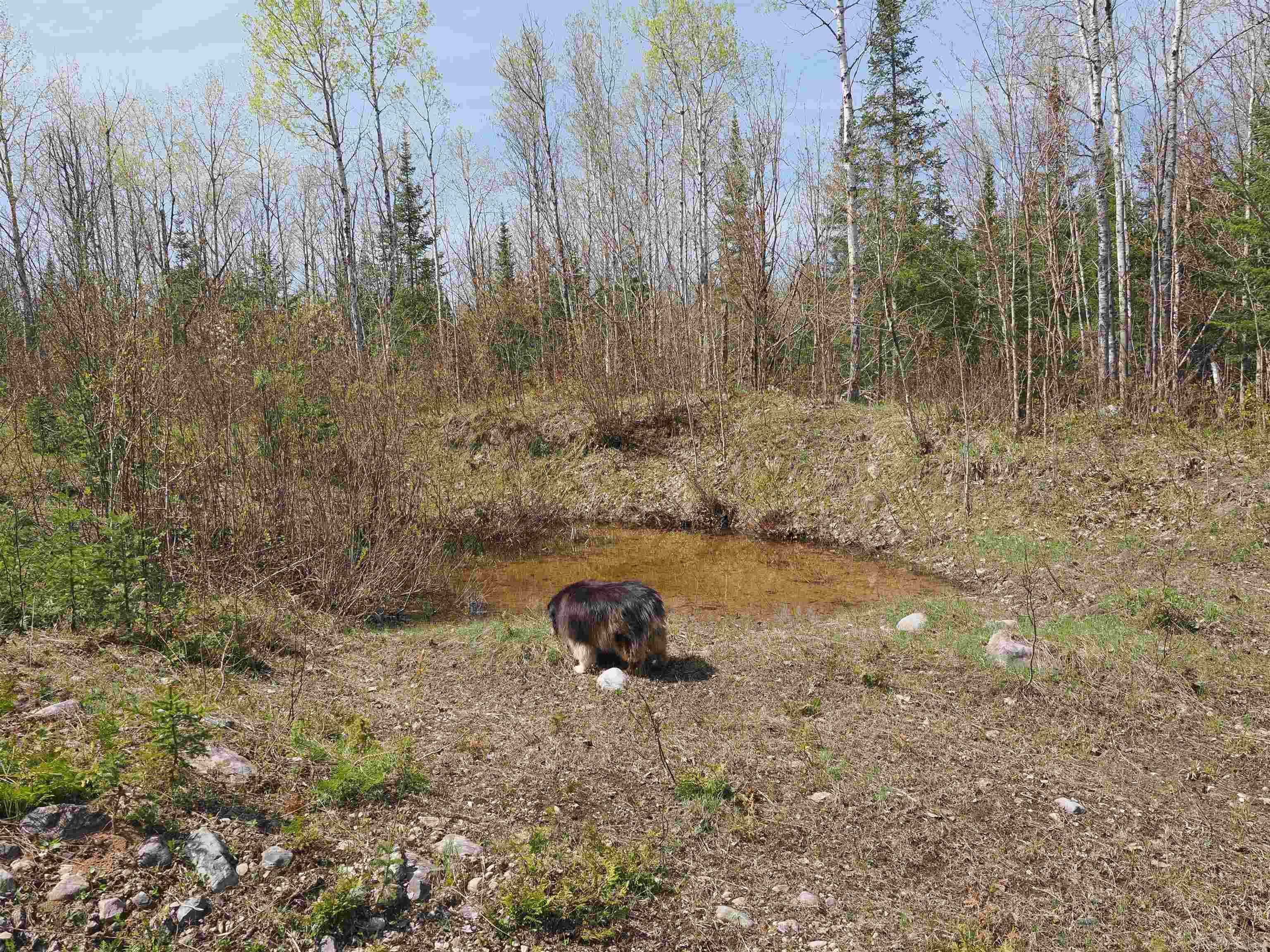 W15598 Hiawatha Trail Property Photo 1