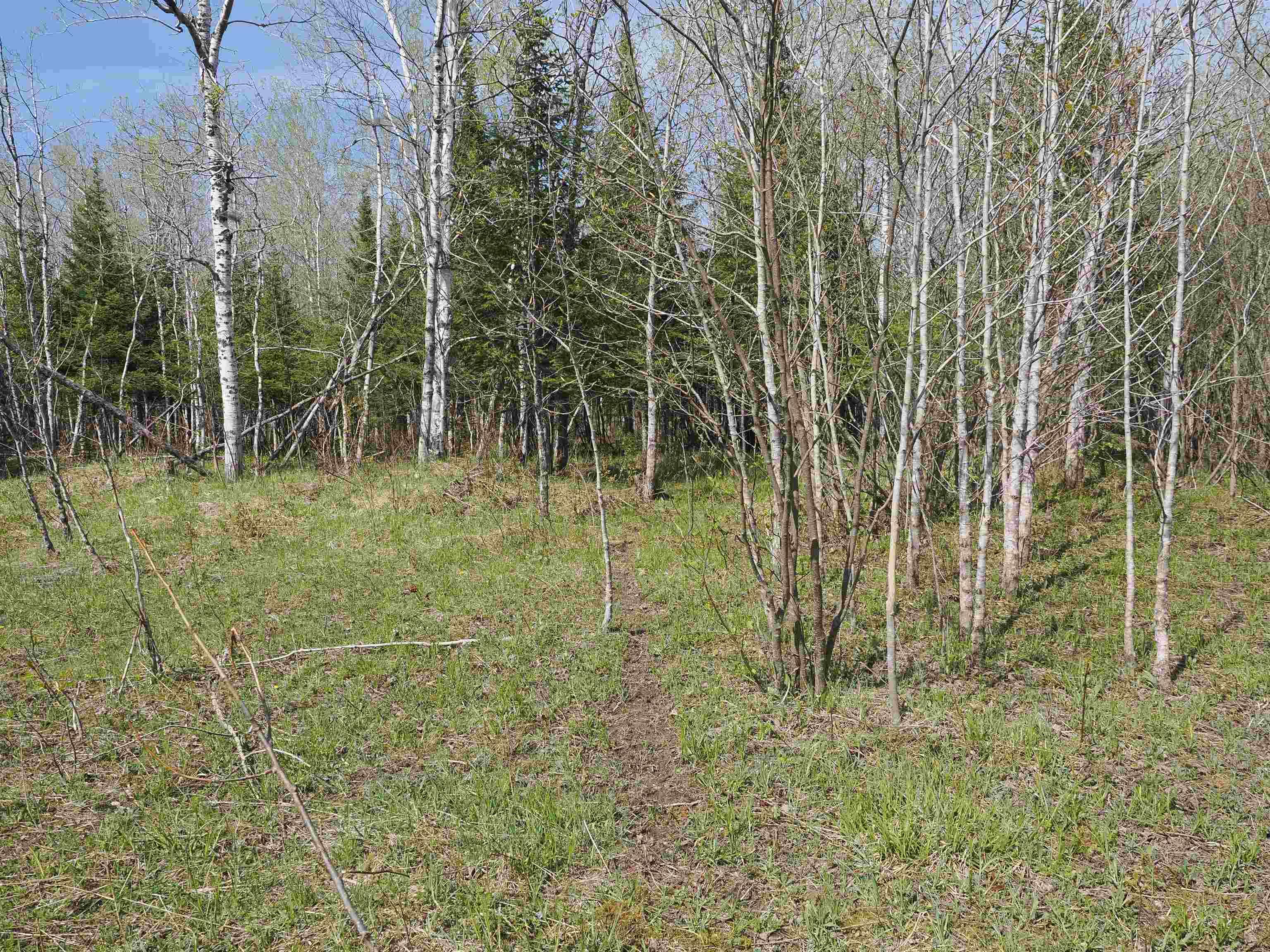 W15598 Hiawatha Trail Property Photo 2