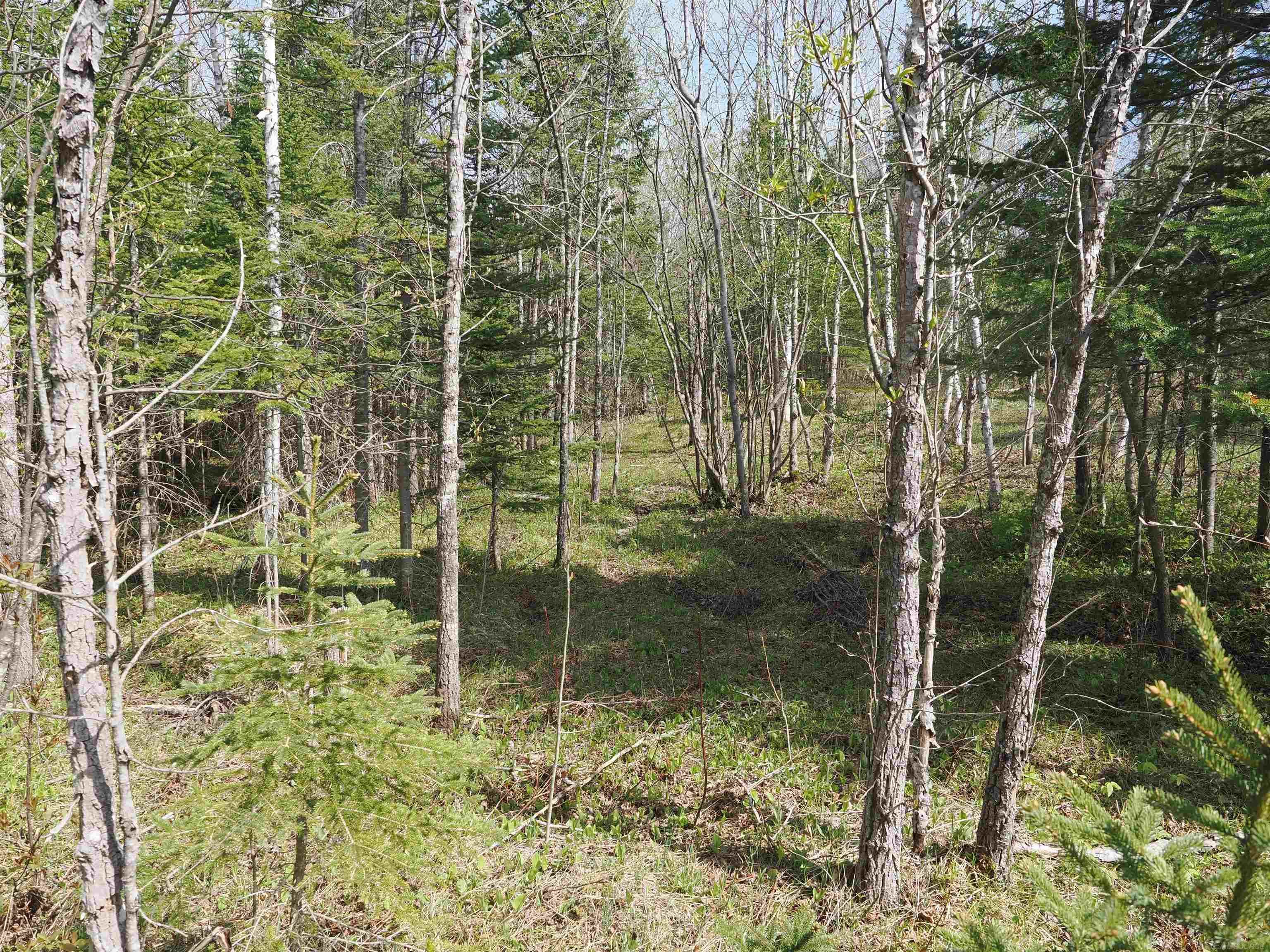 W15598 Hiawatha Trail Property Photo 3