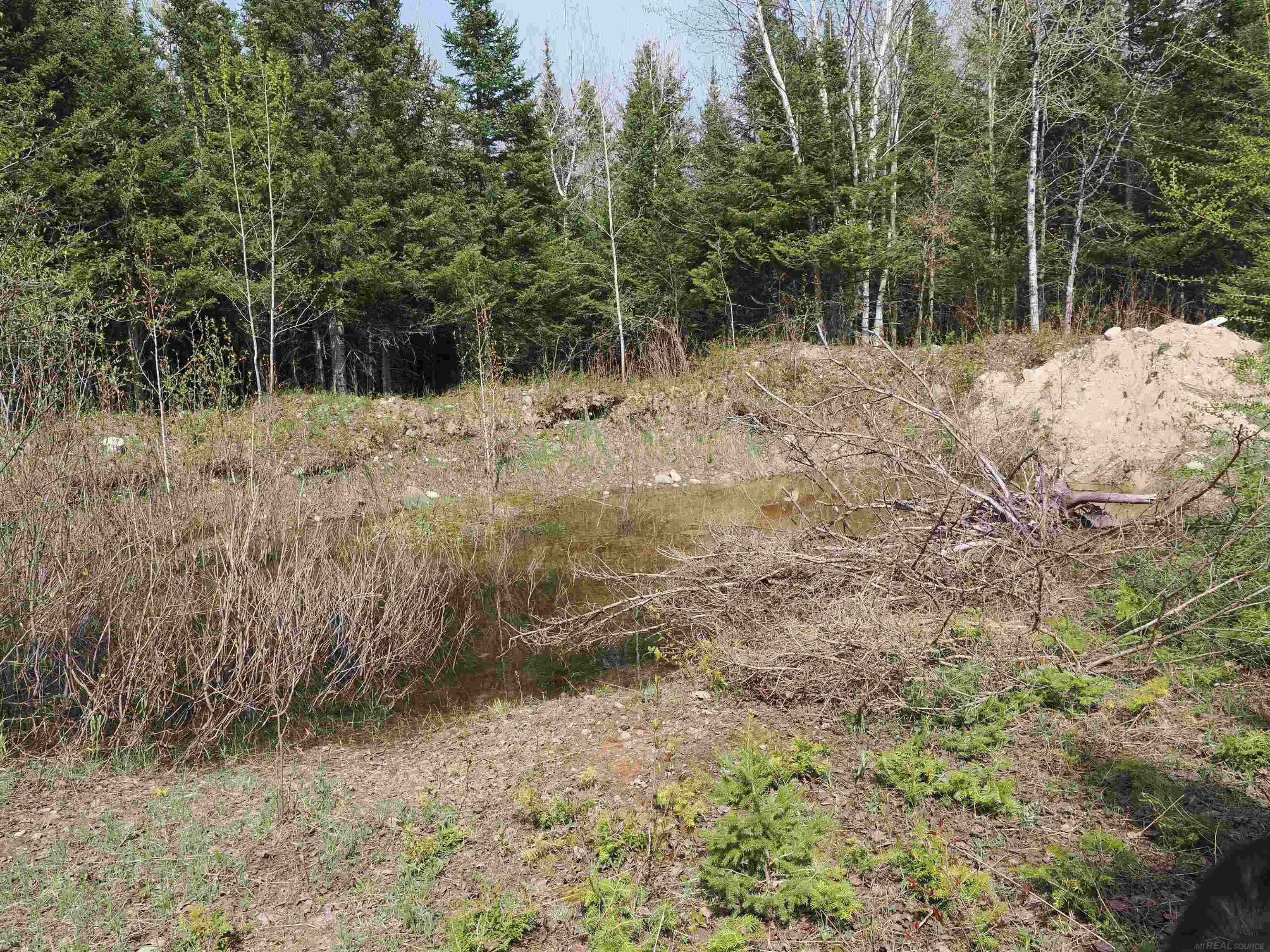 W15598 Hiawatha Trail Property Photo 7