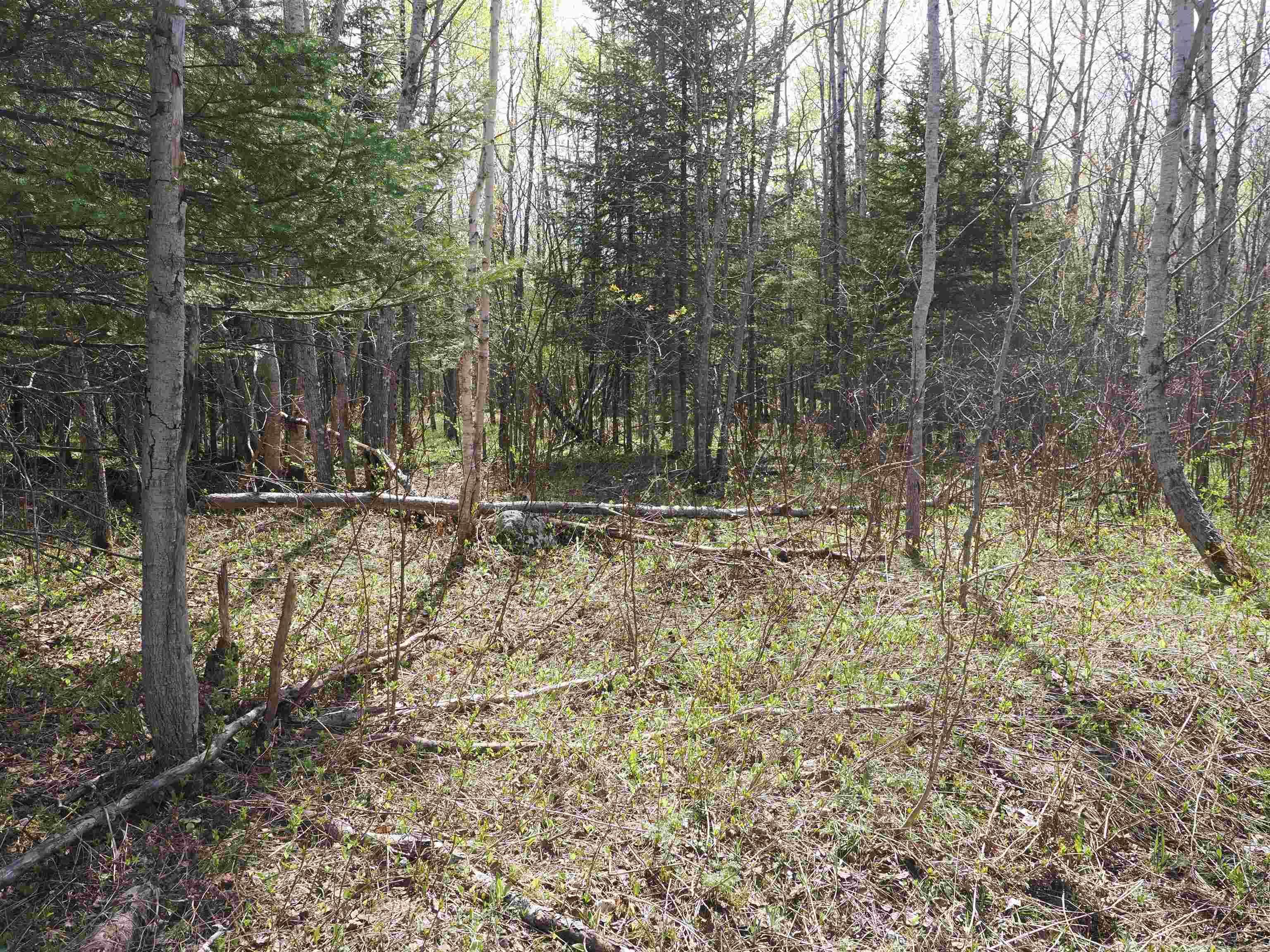 W15598 Hiawatha Trail Property Photo 8