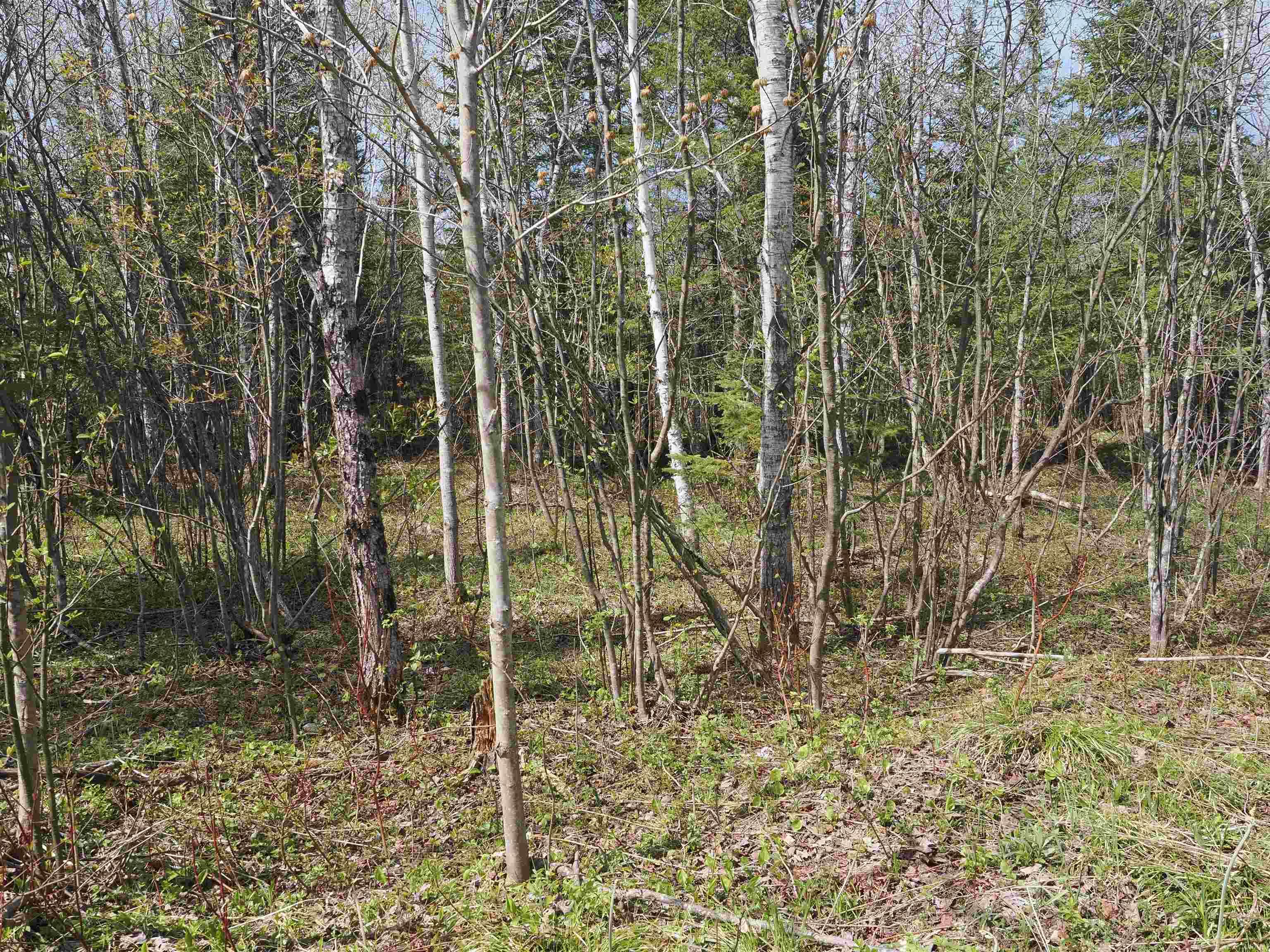 W15598 Hiawatha Trail Property Photo 9