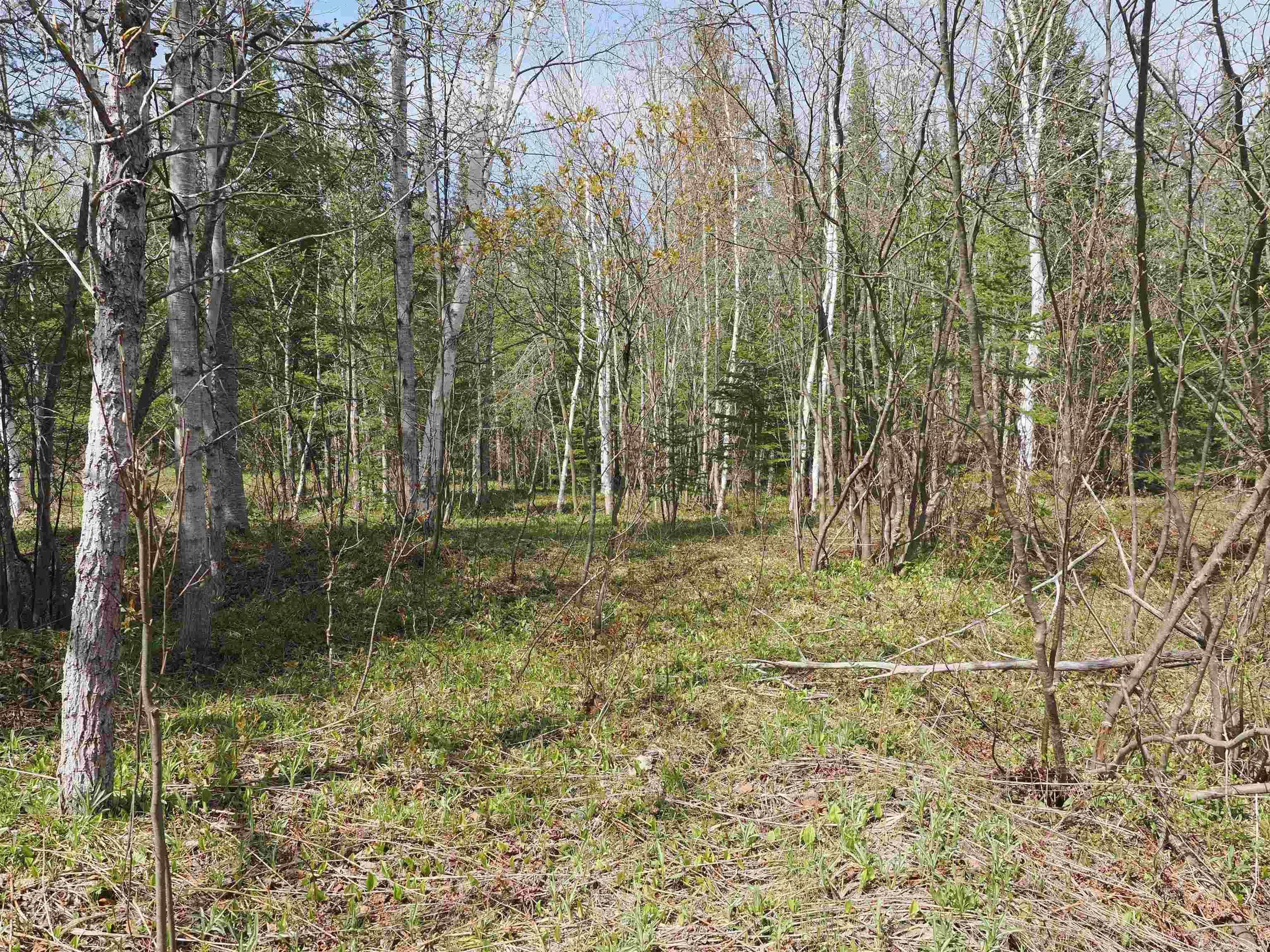 W15598 Hiawatha Trail Property Photo 10