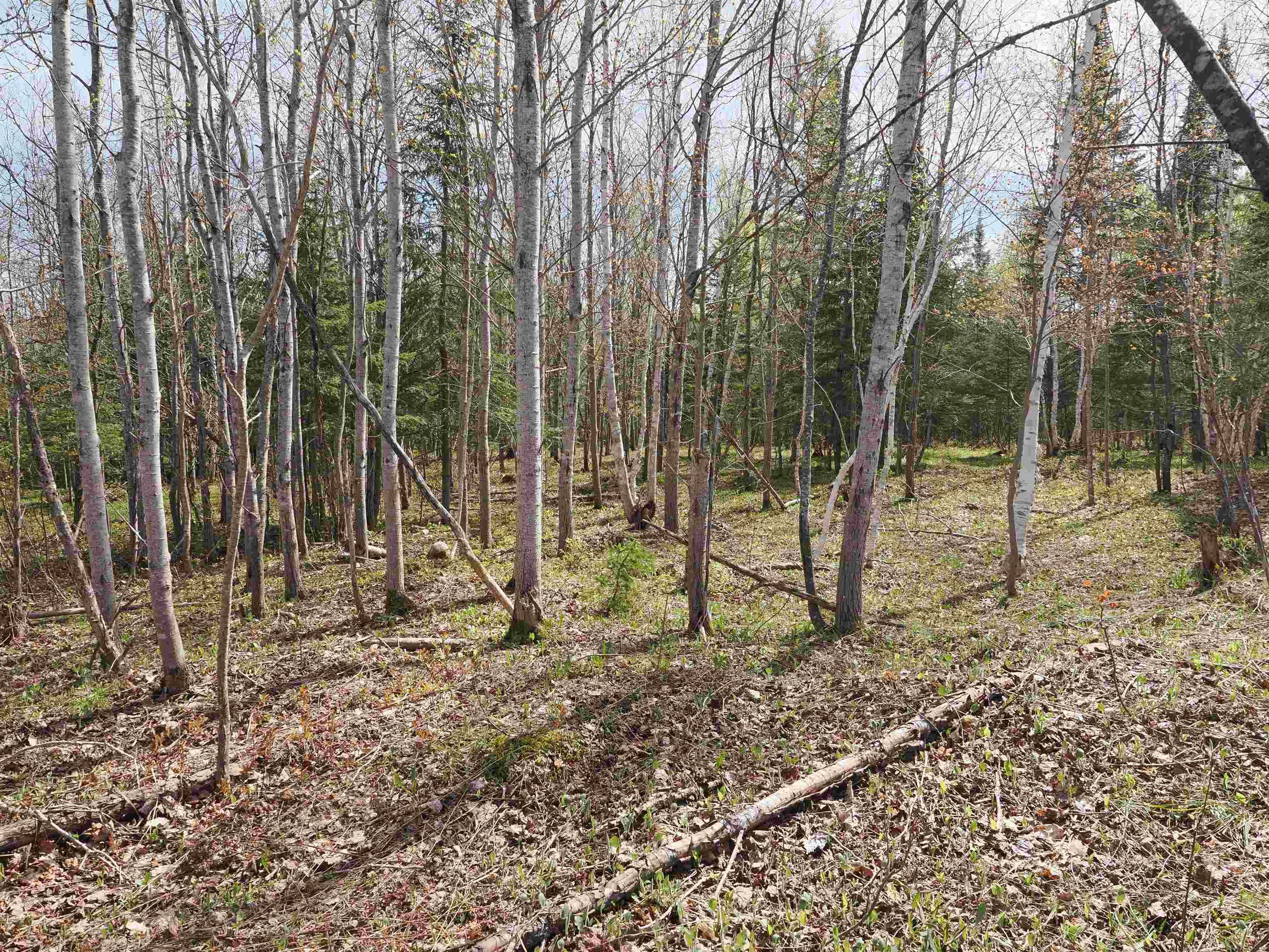 W15598 Hiawatha Trail Property Photo 11