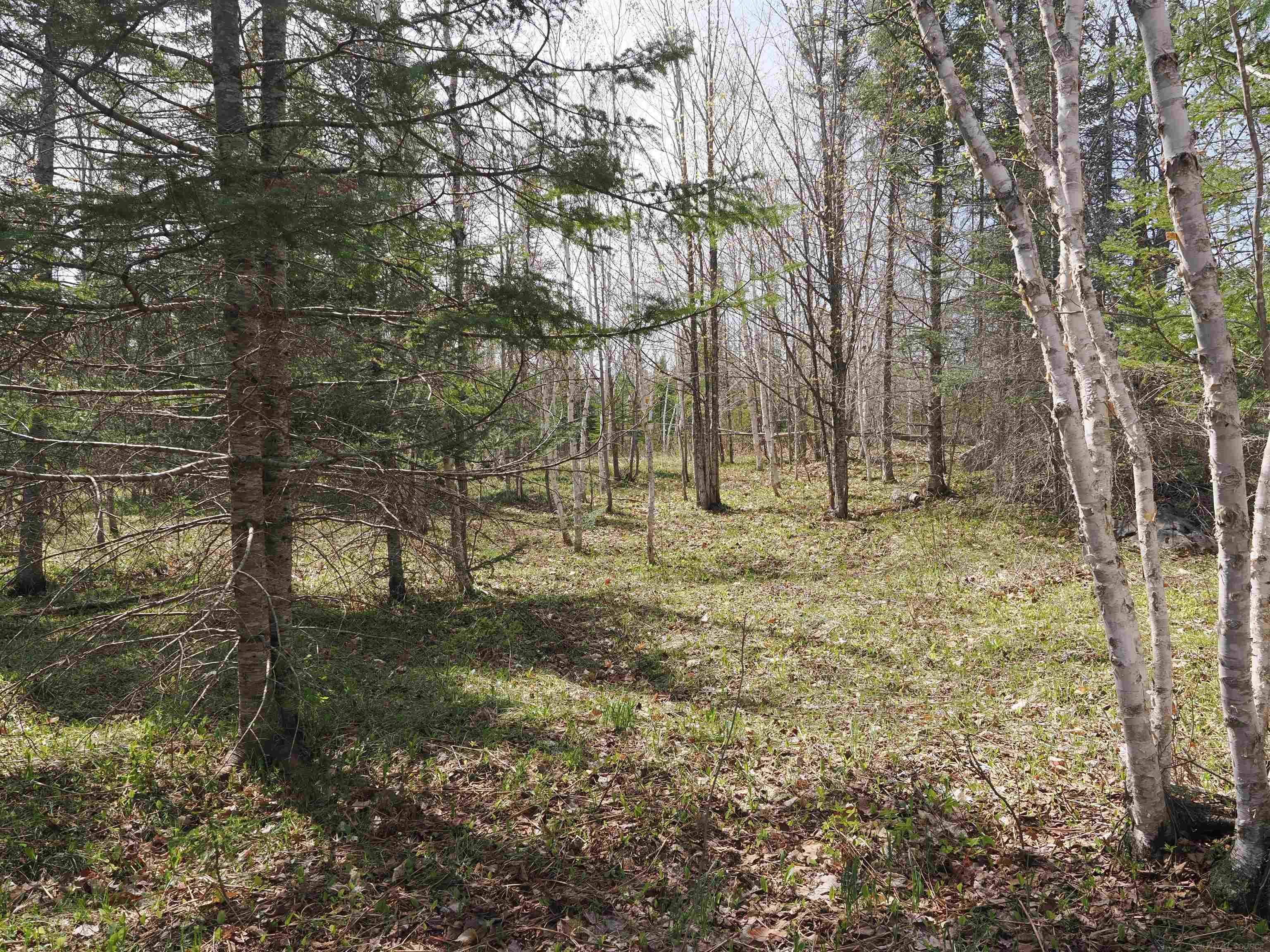 W15598 Hiawatha Trail Property Photo 12