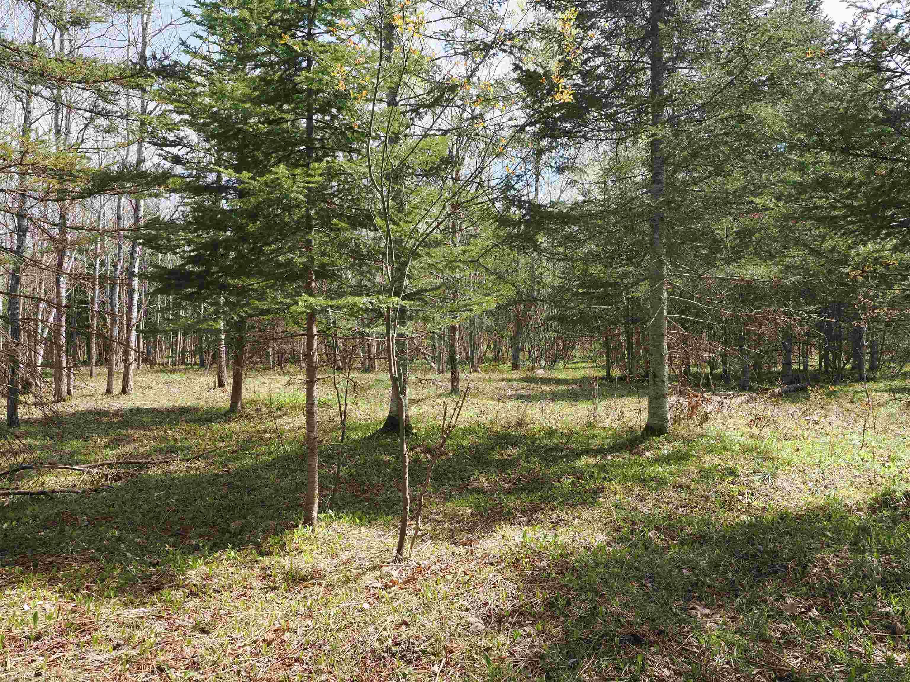W15598 Hiawatha Trail Property Photo 13
