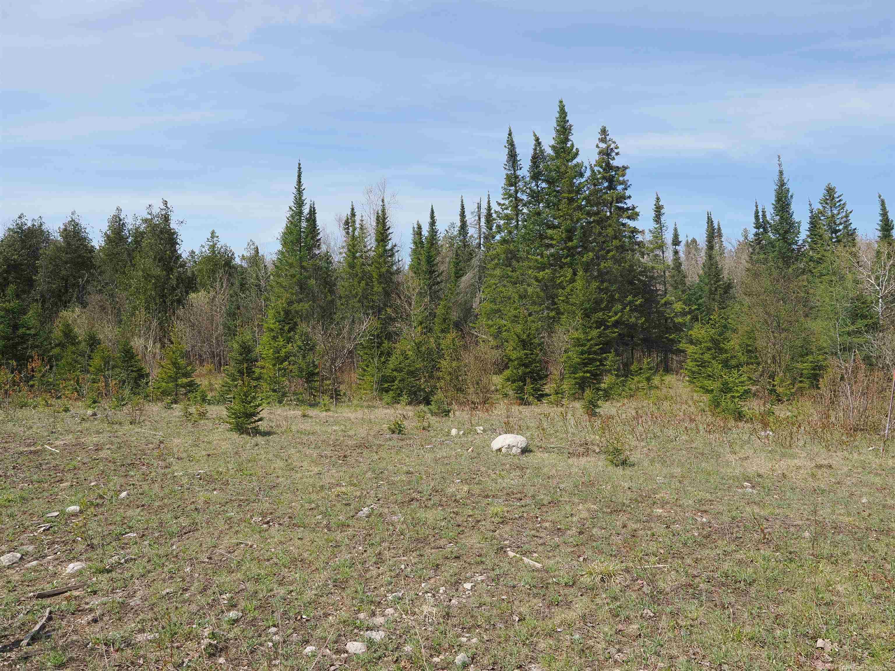 W15598 Hiawatha Trail Property Photo 14
